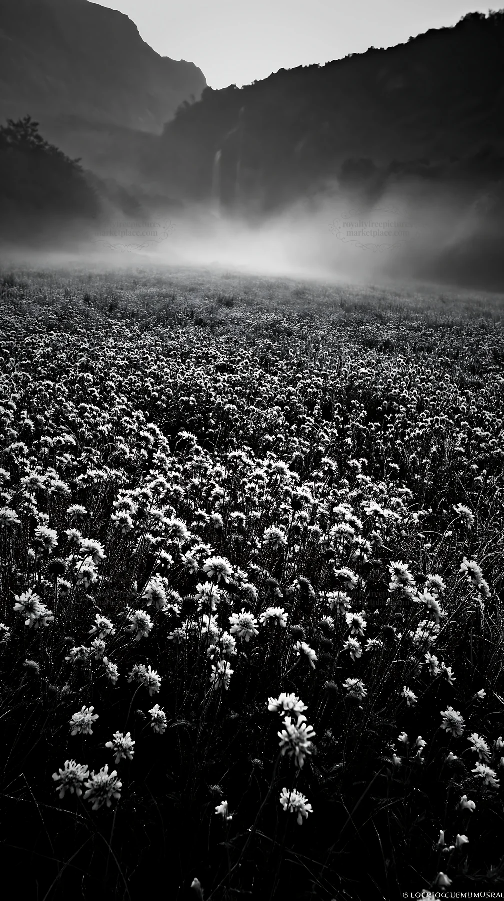 Wildflower meadow with waterfall mist in the distance - AI-generated stock image