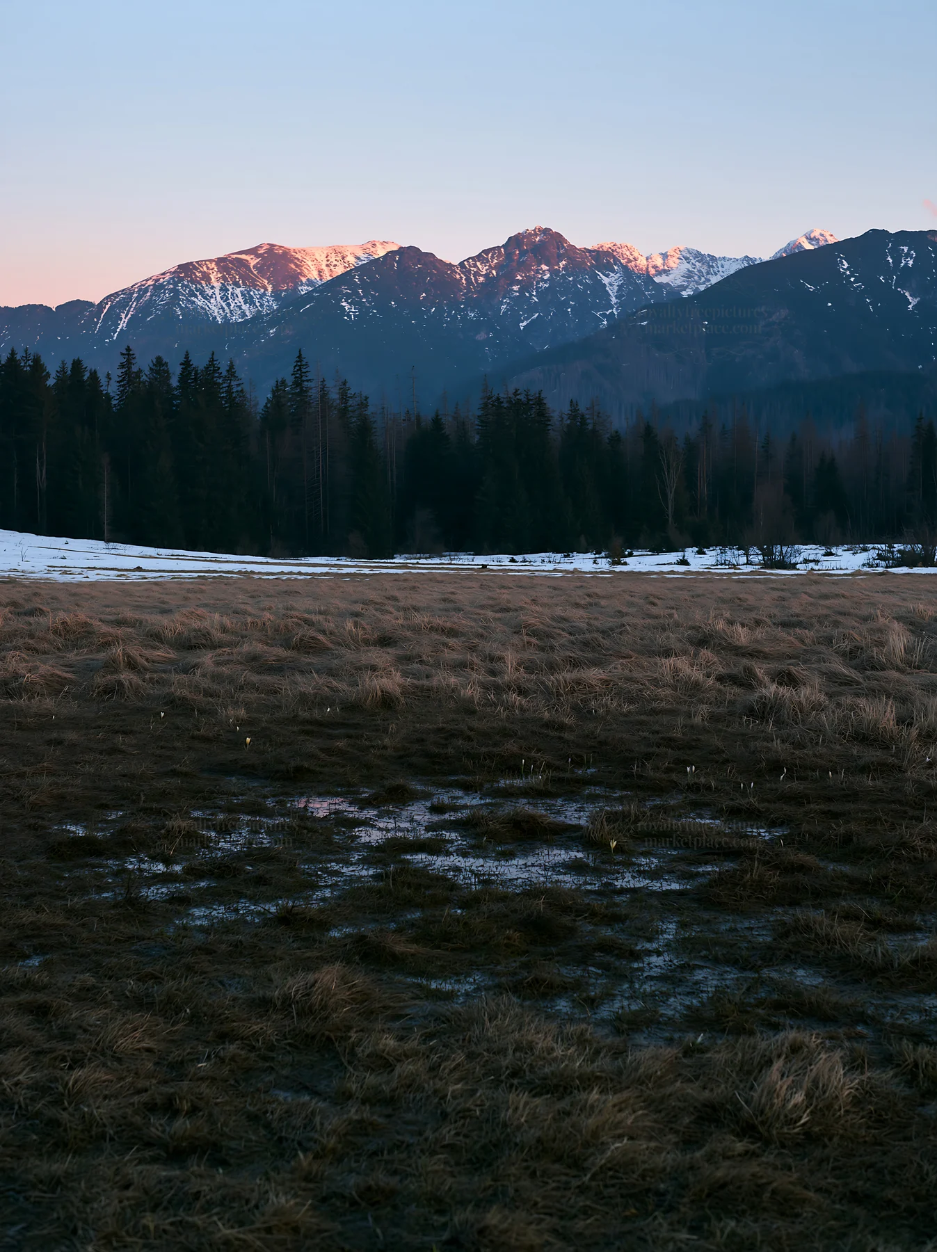 Tatra mountains meadow during spring snowmelt - AI-generated stock image