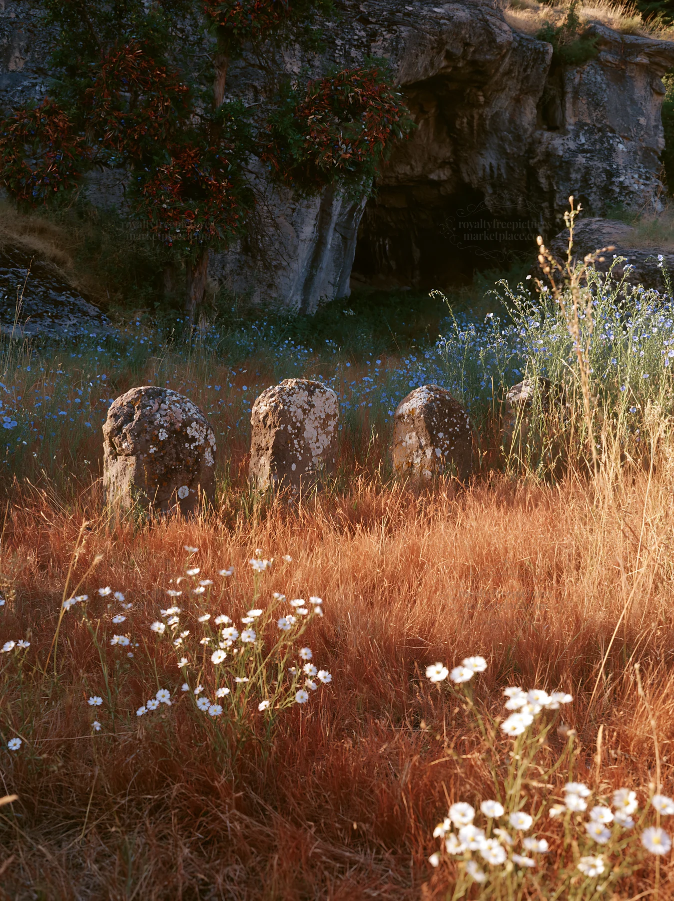 Christmas wreaths in meadow by cave - AI-generated stock image