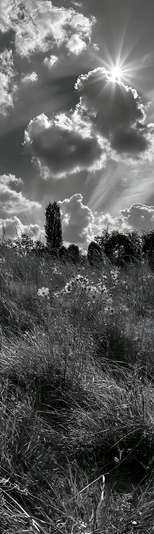 Christmas wreaths in meadow beneath clouds and sun rays - AI-generated stock image