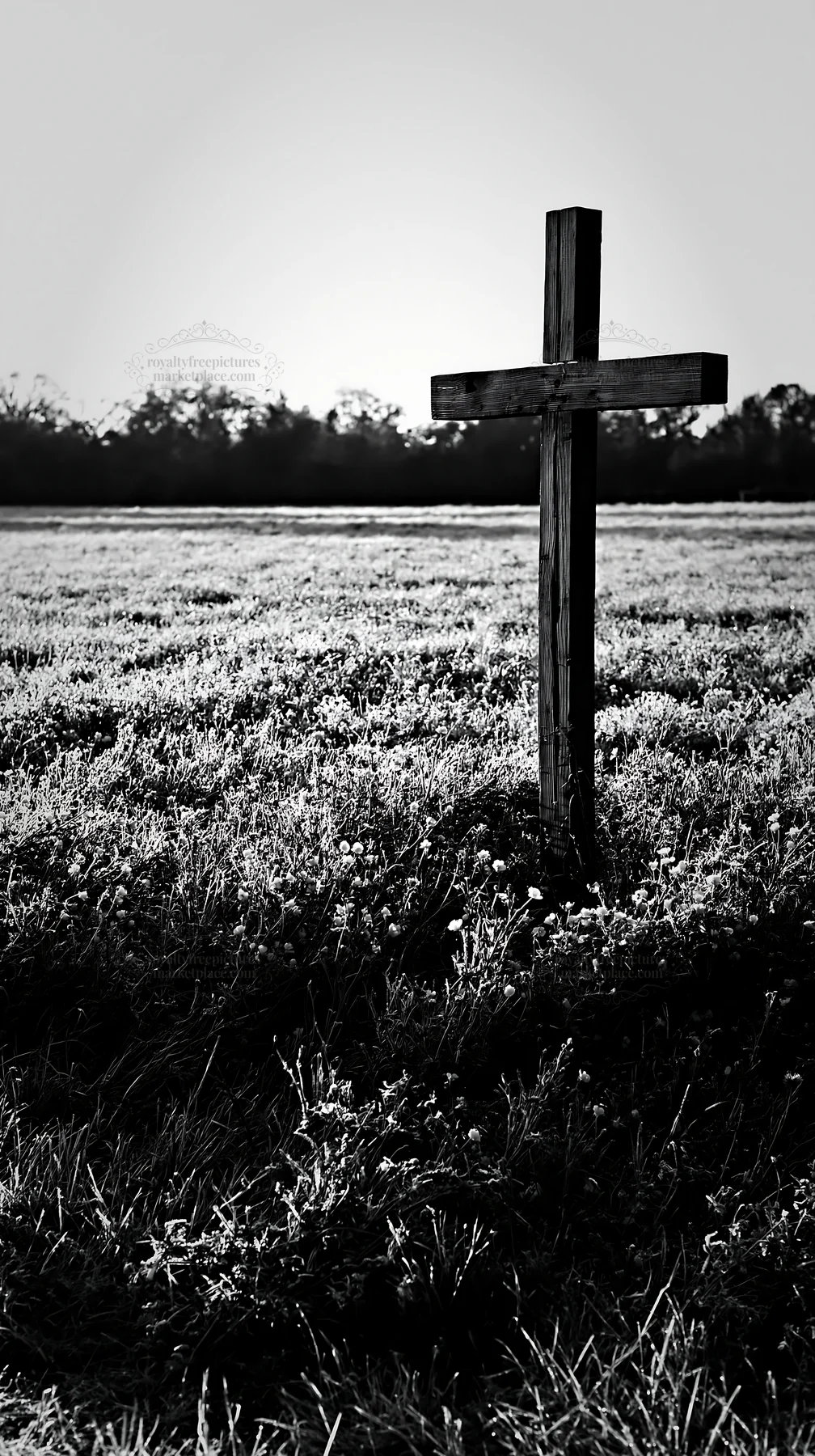 Wooden Christian cross in meadow during Christmas season - AI-generated stock image