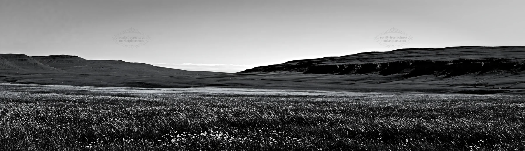 Yorkshire Dales buttercup hay meadow under open skies - AI-generated stock image