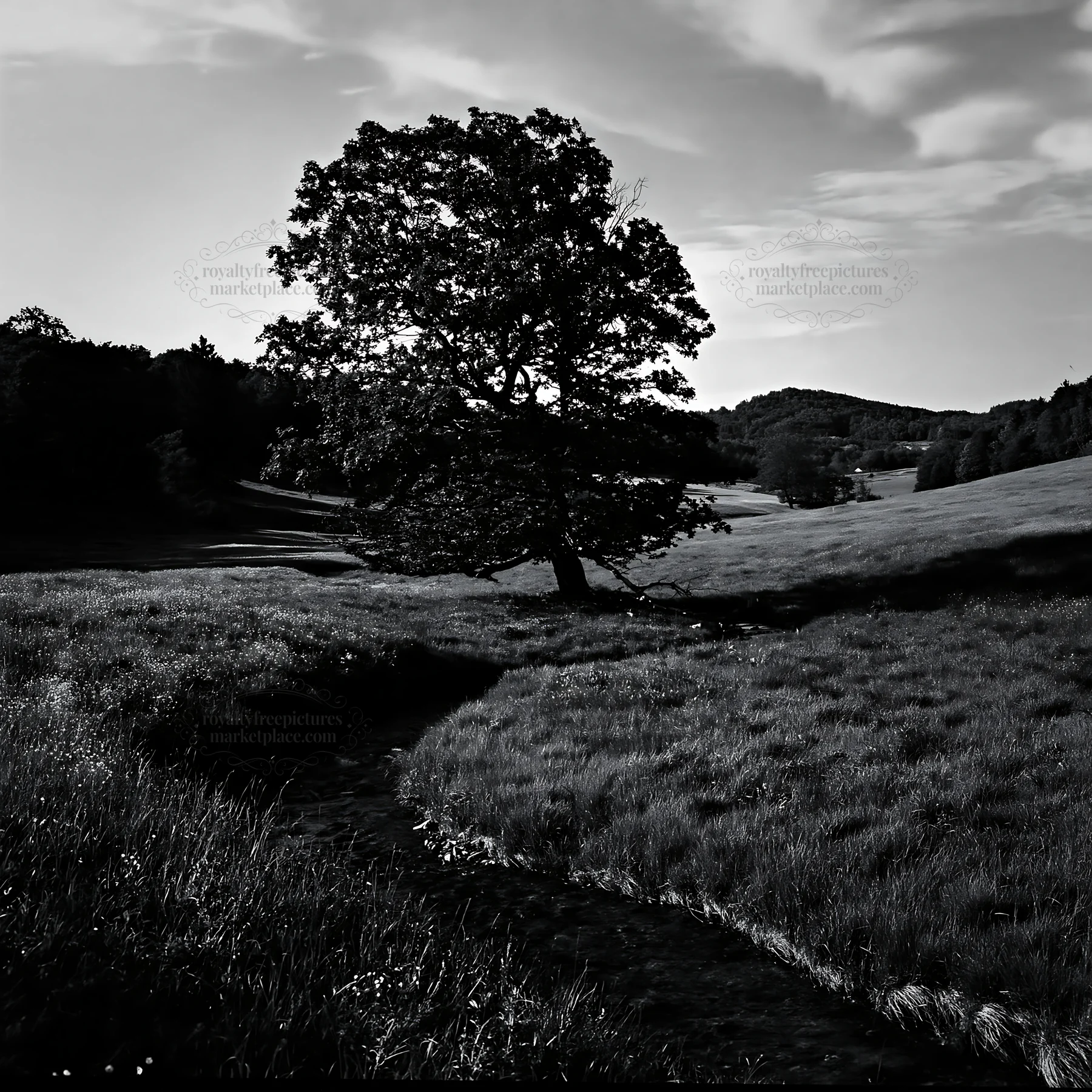 High contrast meadow with watercourse and tree - AI-generated stock image
