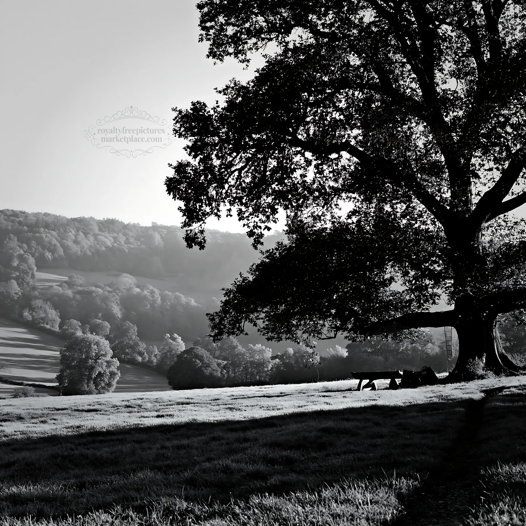 Elegant meadow with large tree and hills in black and white - AI-generated stock image