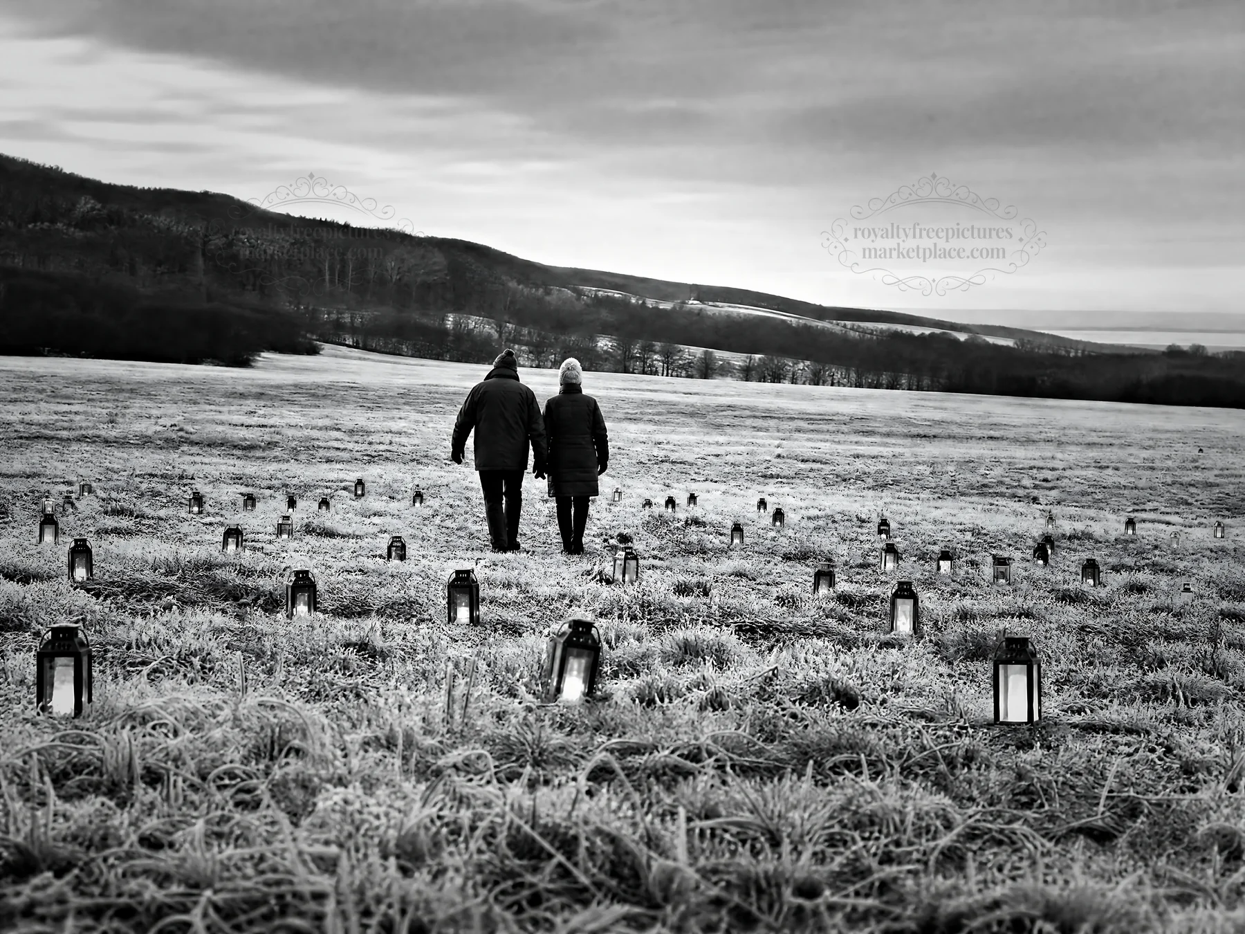 Colorful lanterns light up a meadow during winter evening walk - AI-generated stock image
