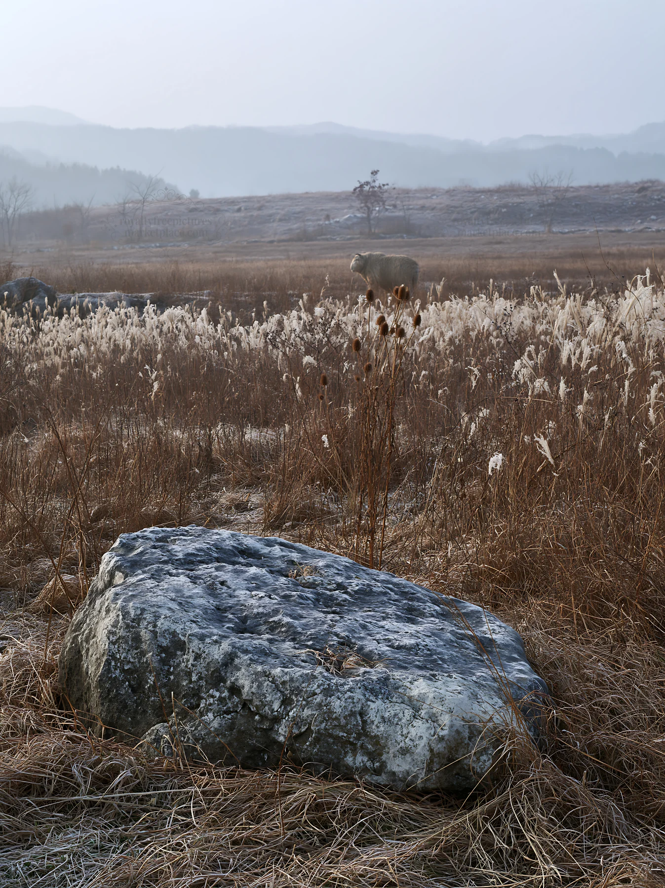 Yamaguchi limestone meadow with a pale boulder and grass - AI-generated stock image