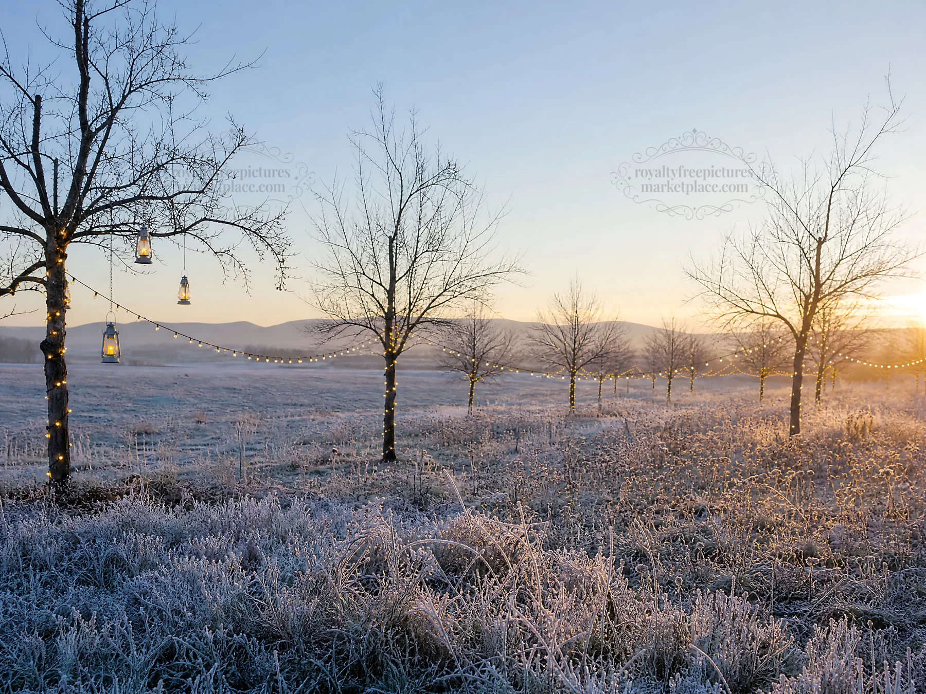 Vibrant Christmas lights in a winter meadow at sunset - AI-generated stock image