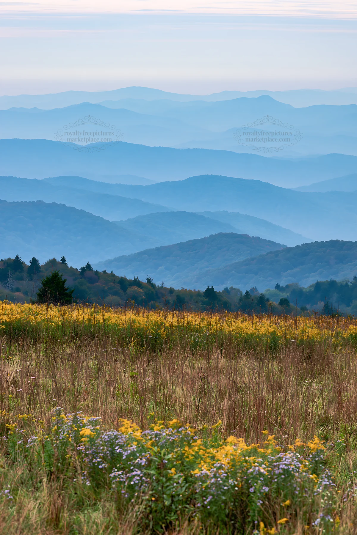 Regenerative meadow with mountains in the background - AI-generated stock image