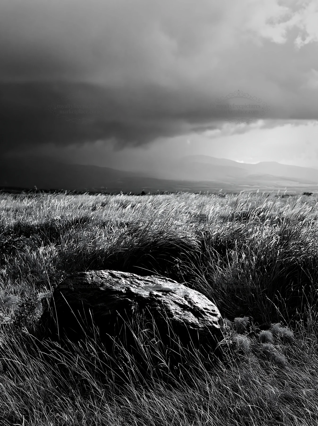 Black and white aomori climate resilient meadow with boulder - AI-generated stock image