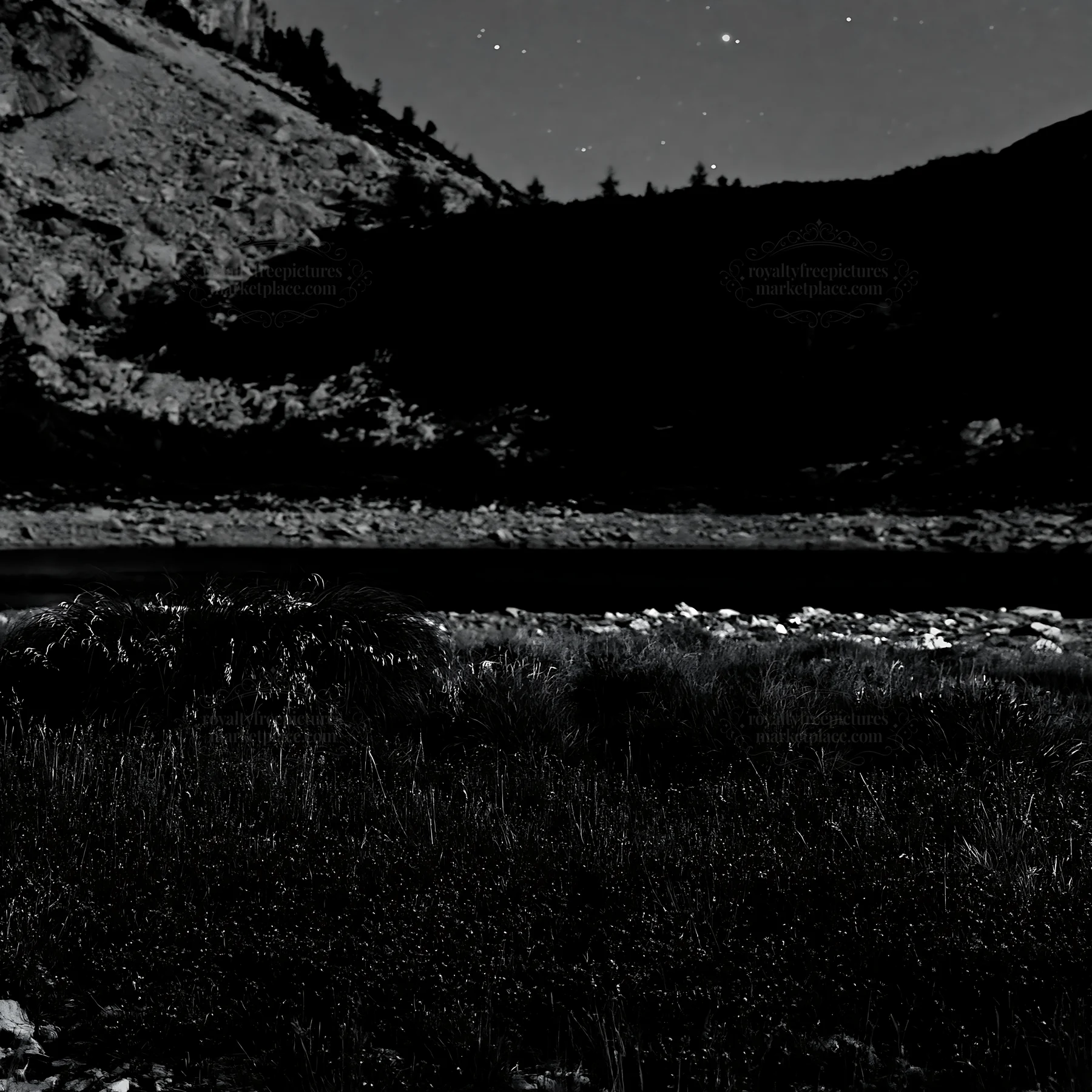 Starlit meadow under a mountain at night - AI-generated stock image