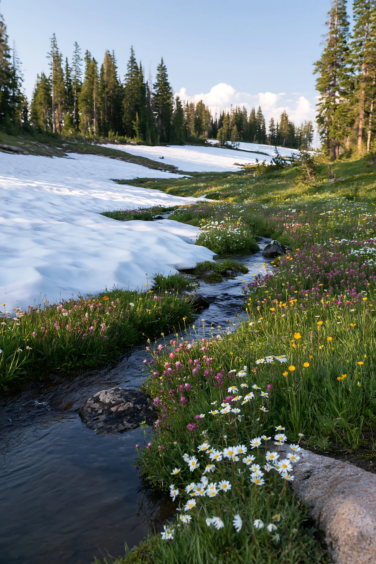 Snowy Rocky Mountain Park meadow with stream and flowers - AI-generated stock image