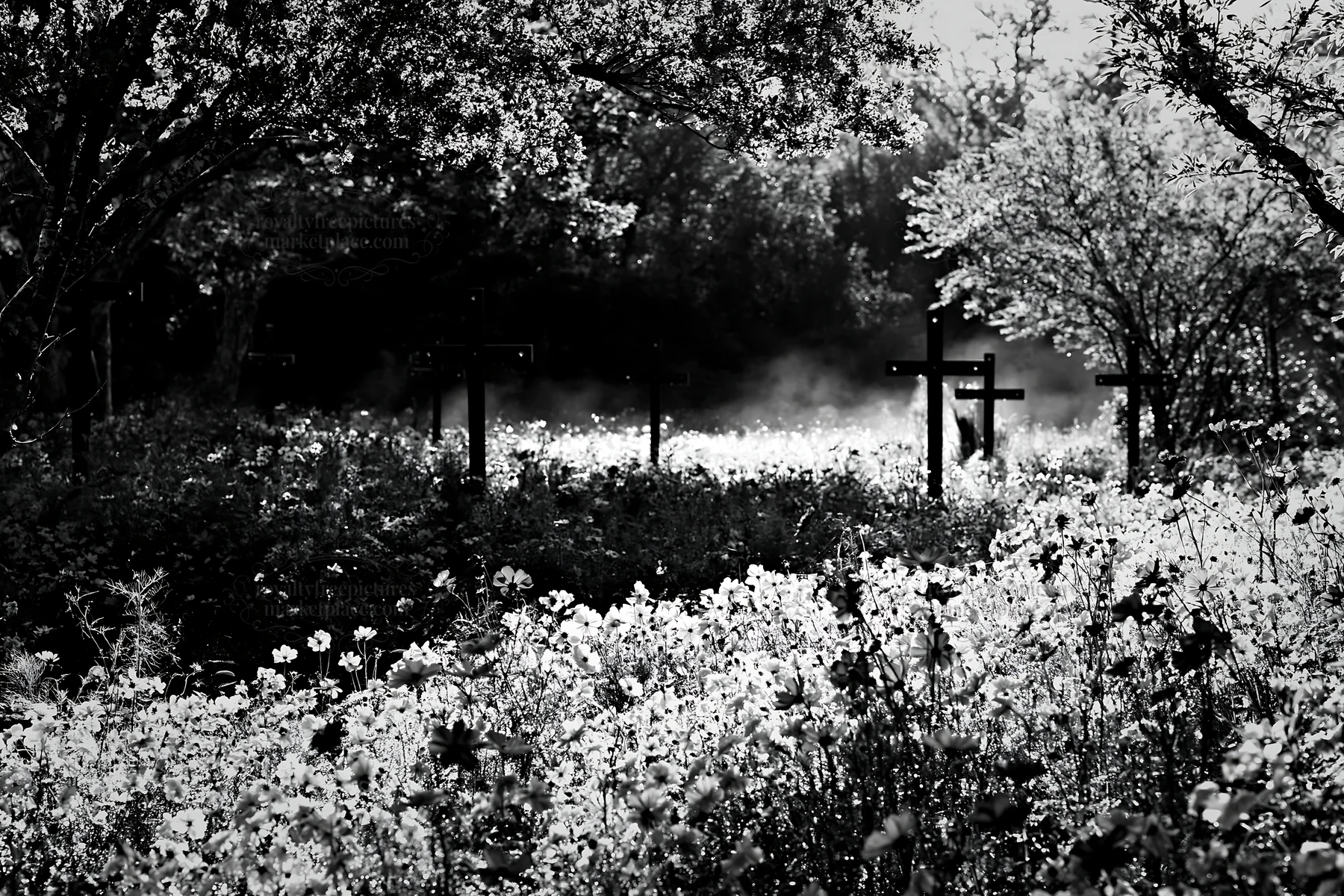 Christian crosses in geothermal spring meadow with flowers - AI-generated stock image