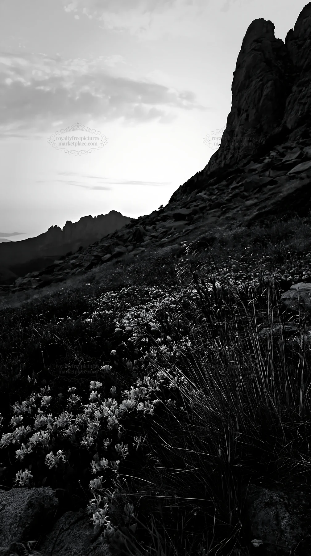 Night-blooming meadow under rocky mountain peaks - AI-generated stock image