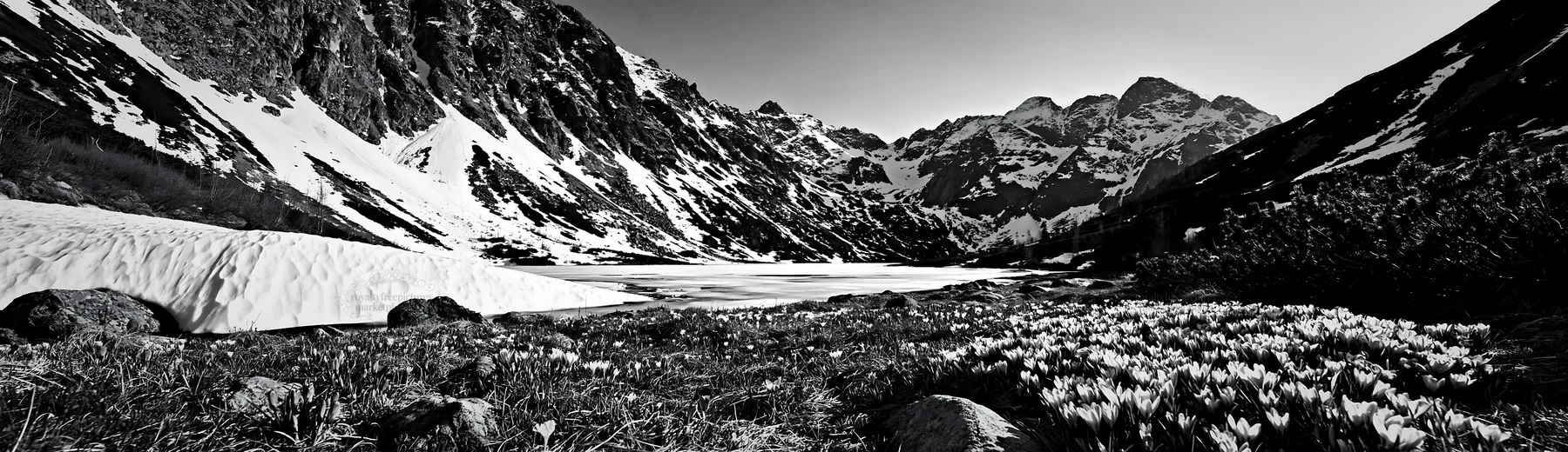 Frozen tarn meadow surrounded by mountains in black and white - AI-generated stock image