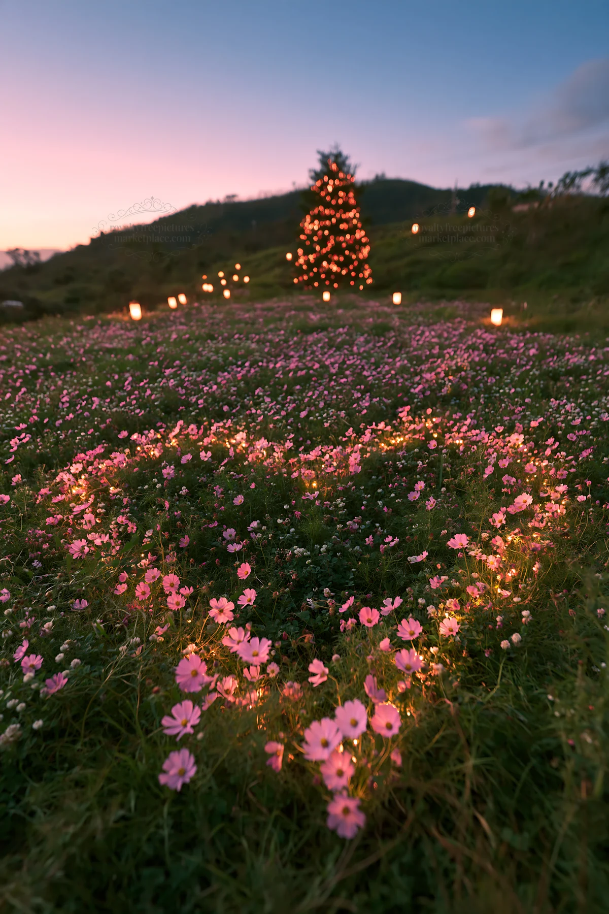 Christmas tree at dusk beside stream in meadow - AI-generated stock image