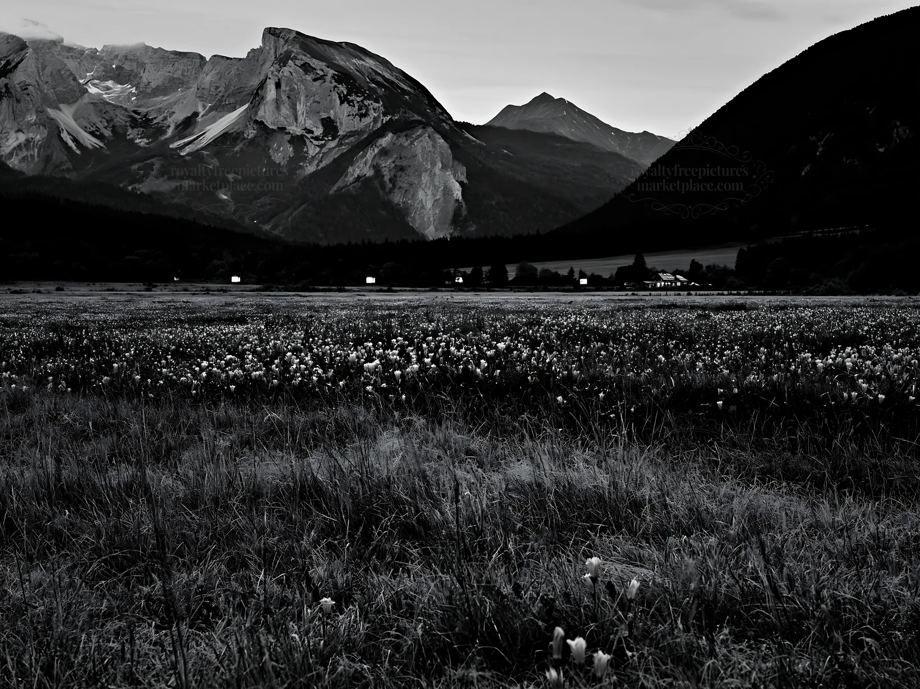 Wide meadow with flowers and lights in a mountain setting - AI-generated stock image