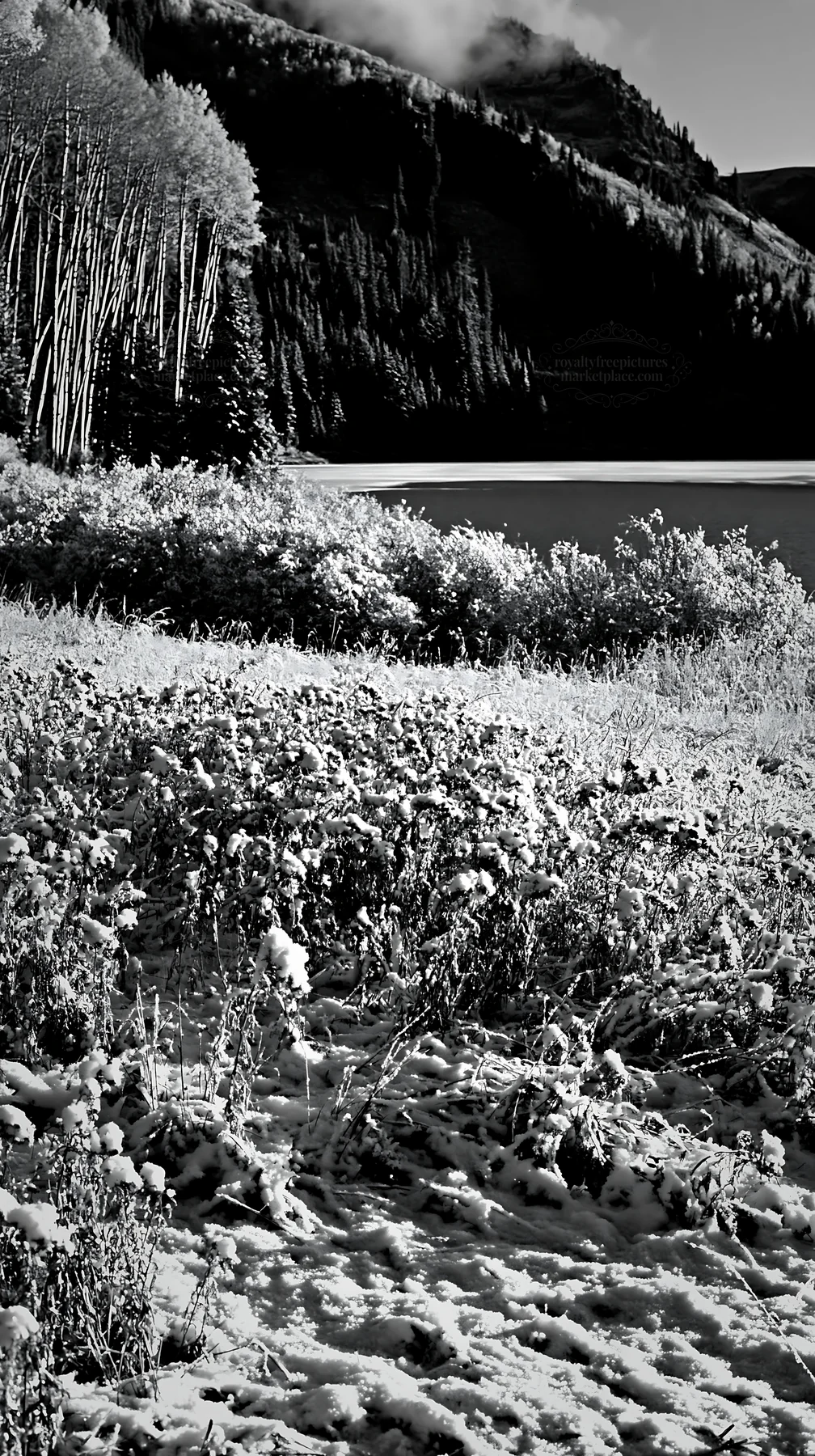 Lakeside meadow after first snowfall in black and white - AI-generated stock image