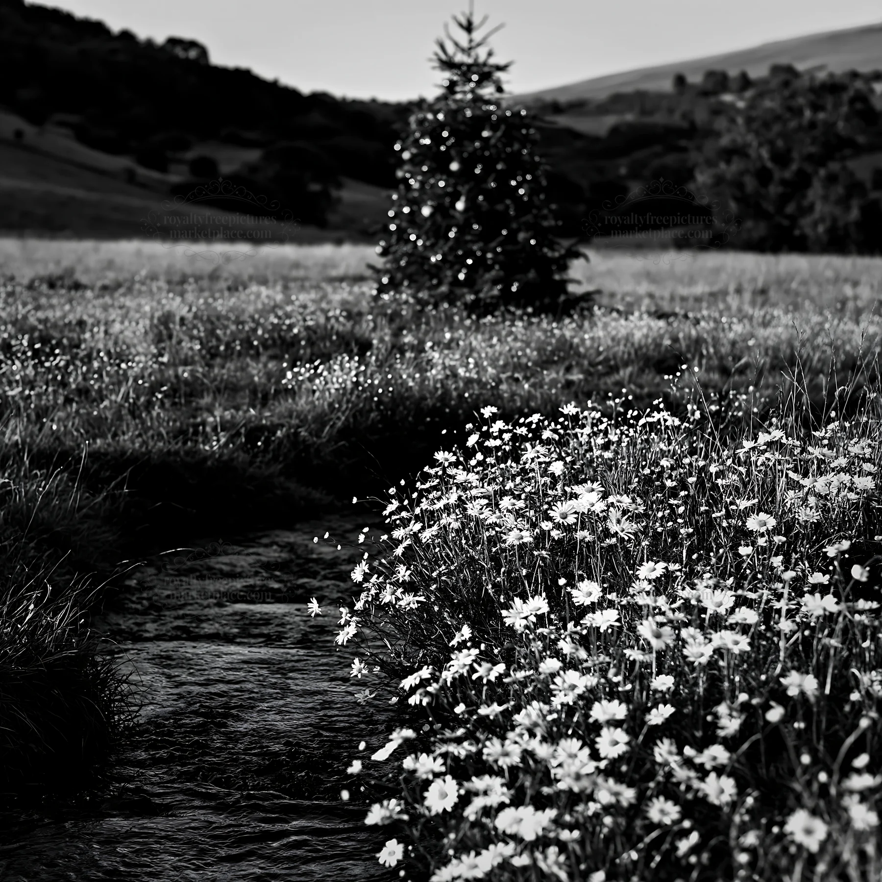 Christmas tree above stream in meadow - AI-generated stock image