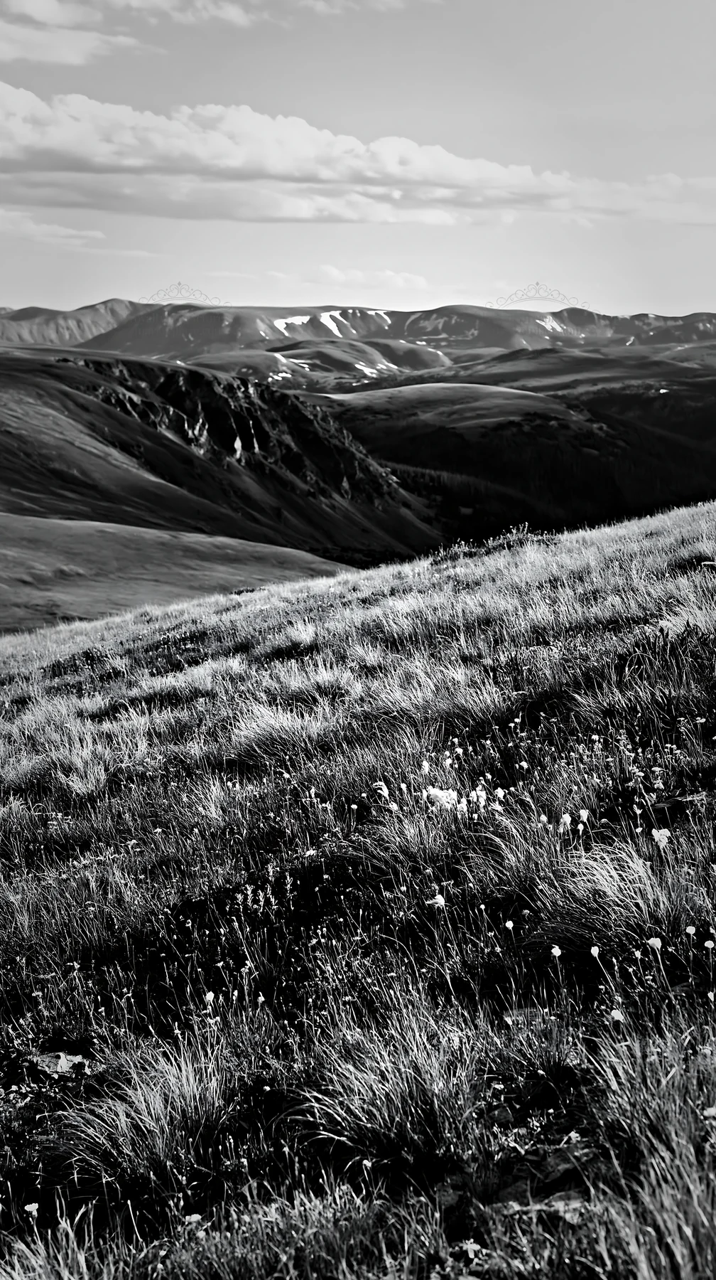 Black and white climate-resilient meadow with mountains in the background - AI-generated stock image