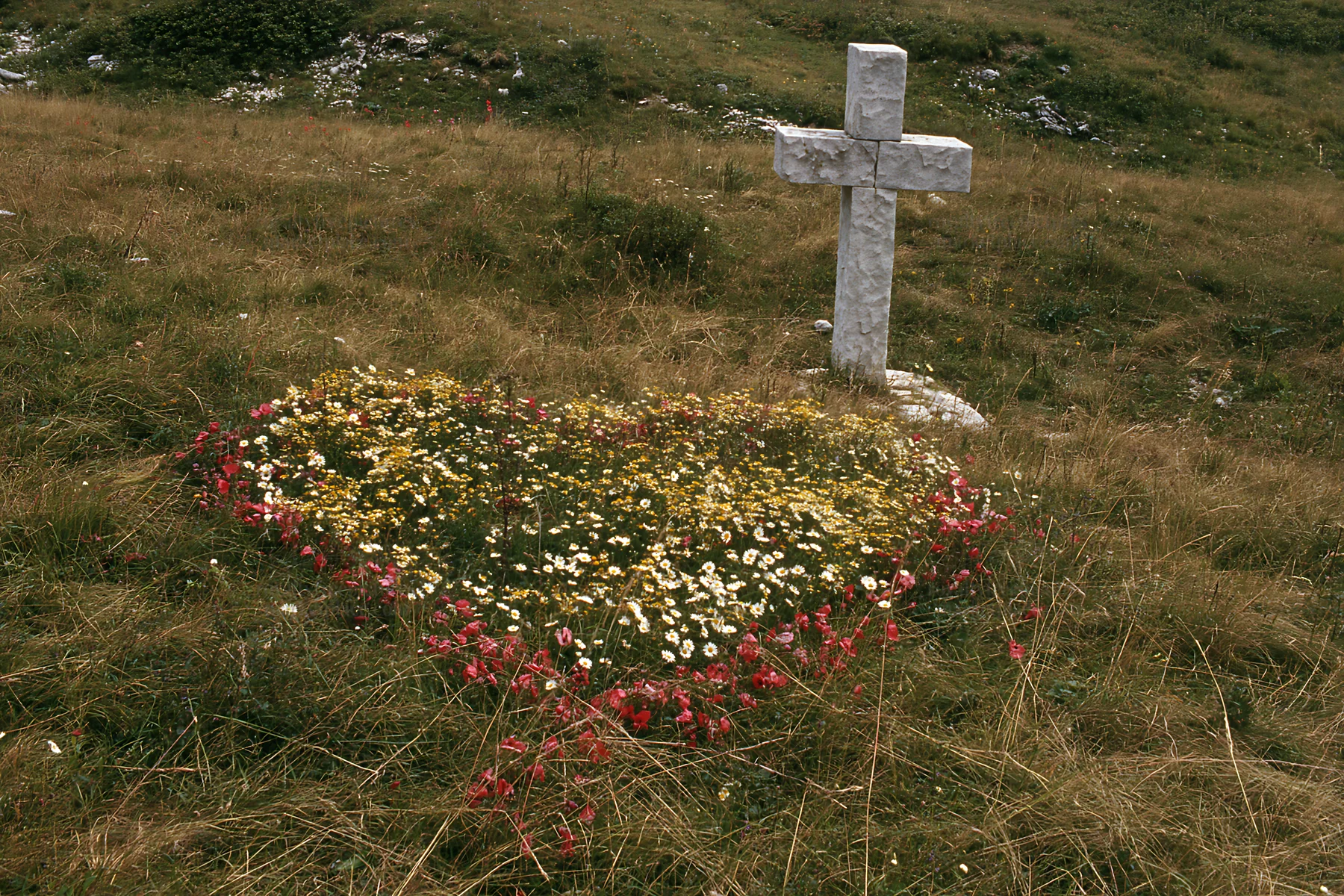 Christian cross surrounded by flowers in a meadow