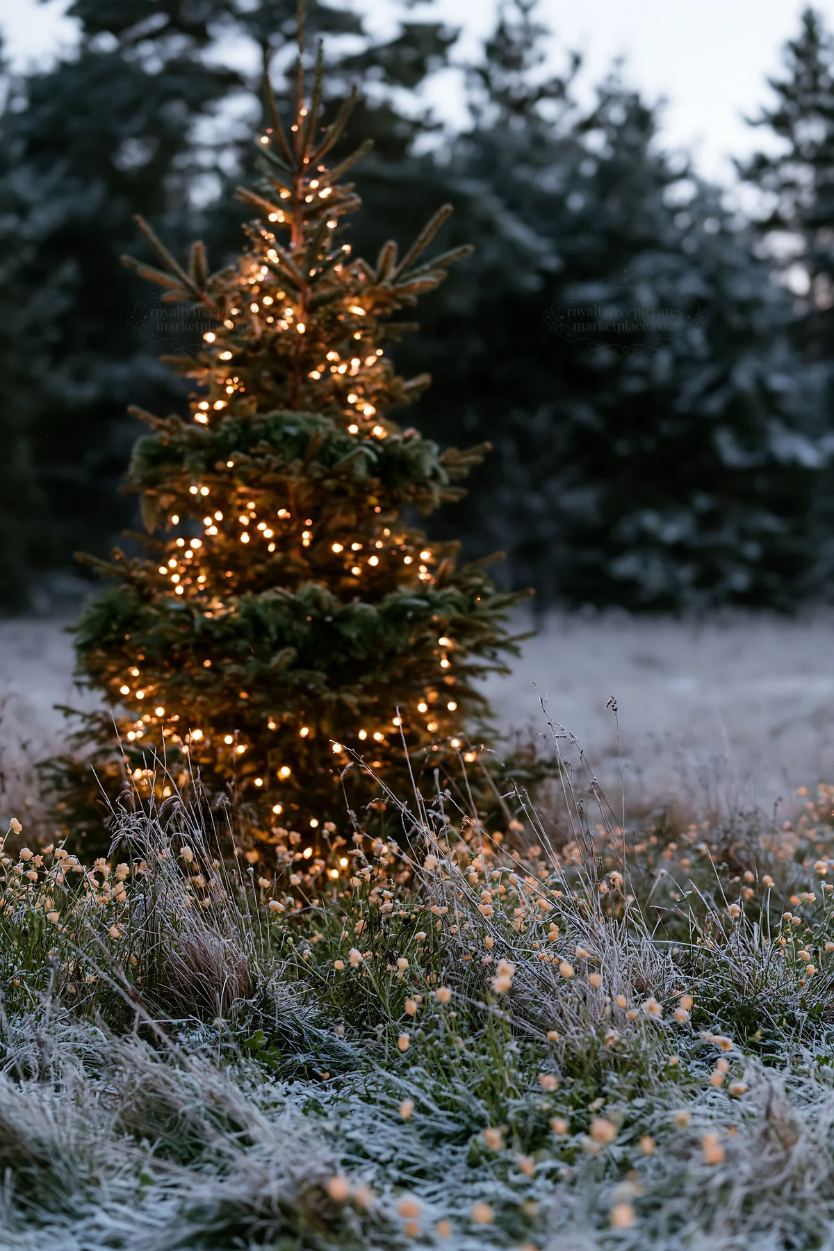 Decorated Christmas tree in a snowy meadow during winter - AI-generated stock image