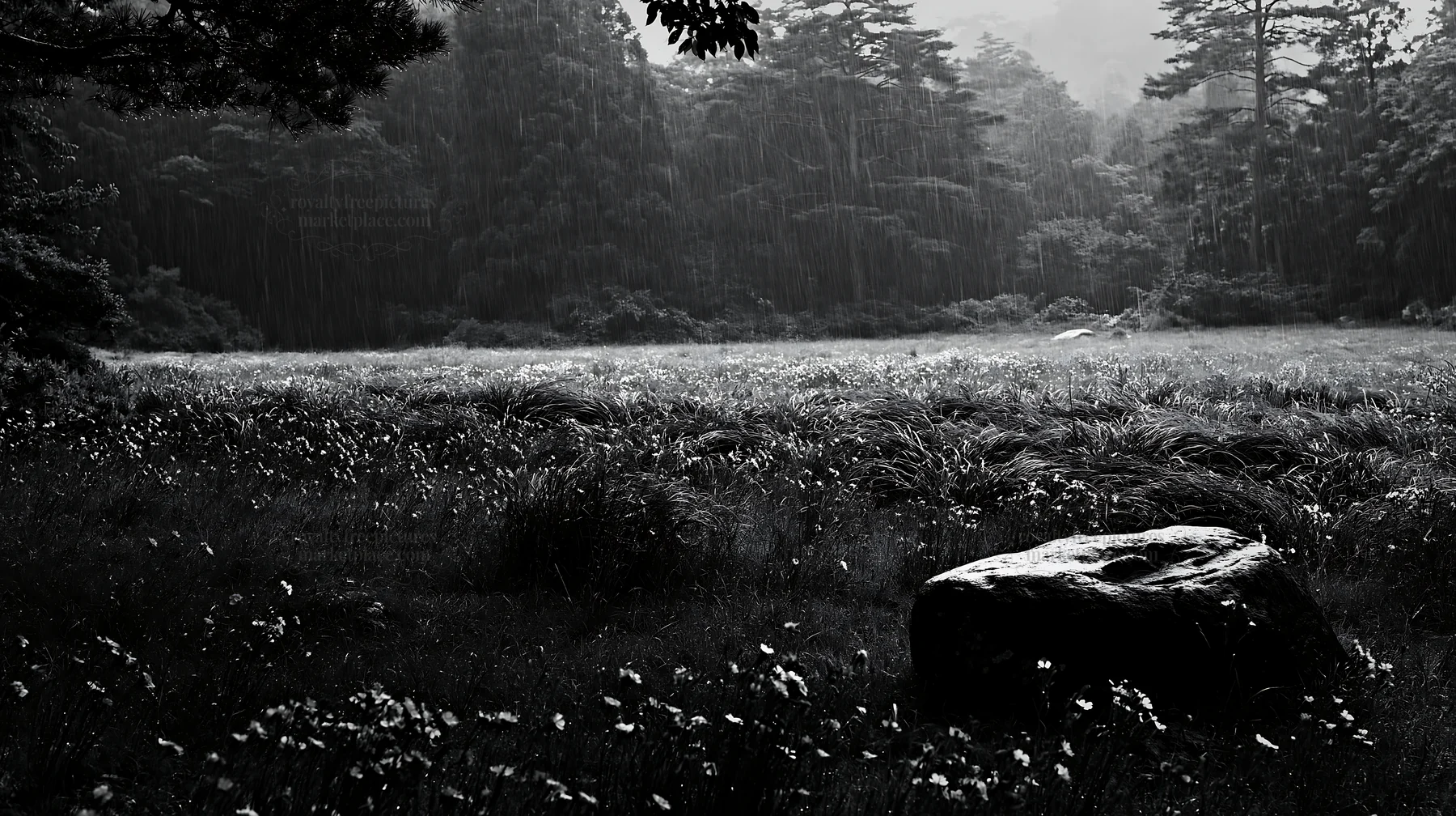 Black and white hiroshima rainy meadow smooth rock foreground - AI-generated stock image