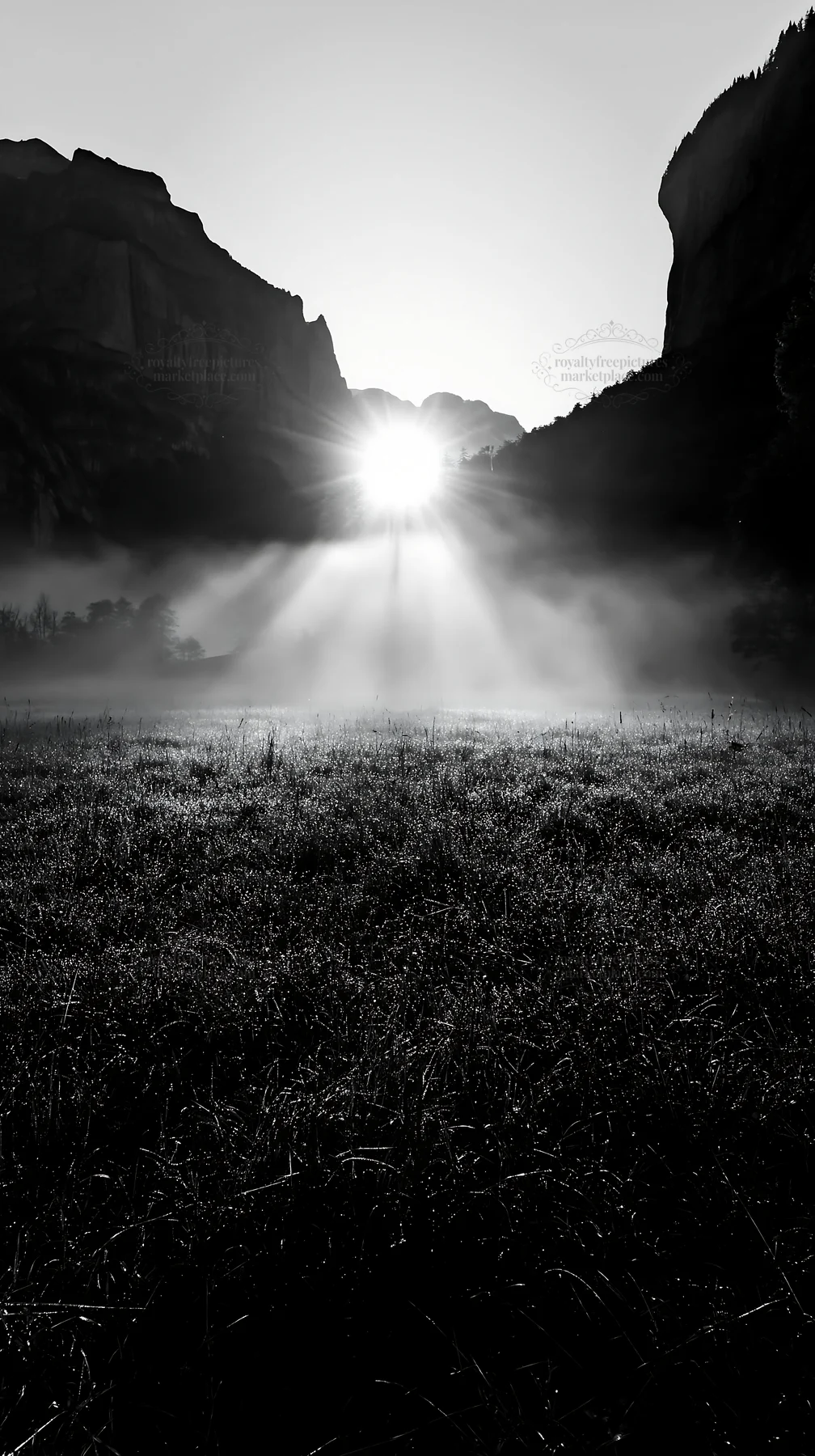 Black and white lauterbrunnen Valley meadow light rays create morning glow - AI-generated stock image