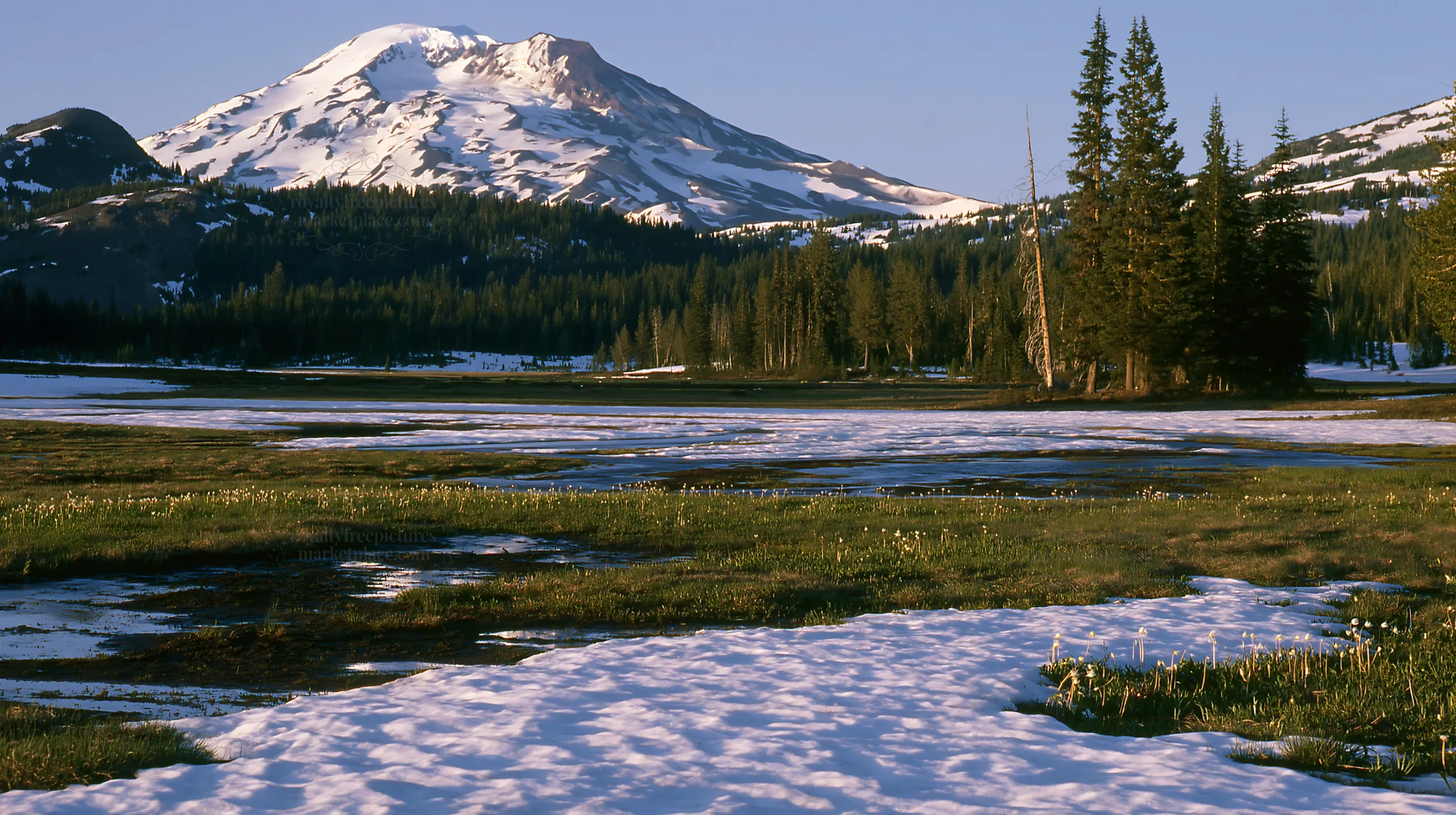 Snowmelt meadow with mountain backdrop during spring - AI-generated stock image