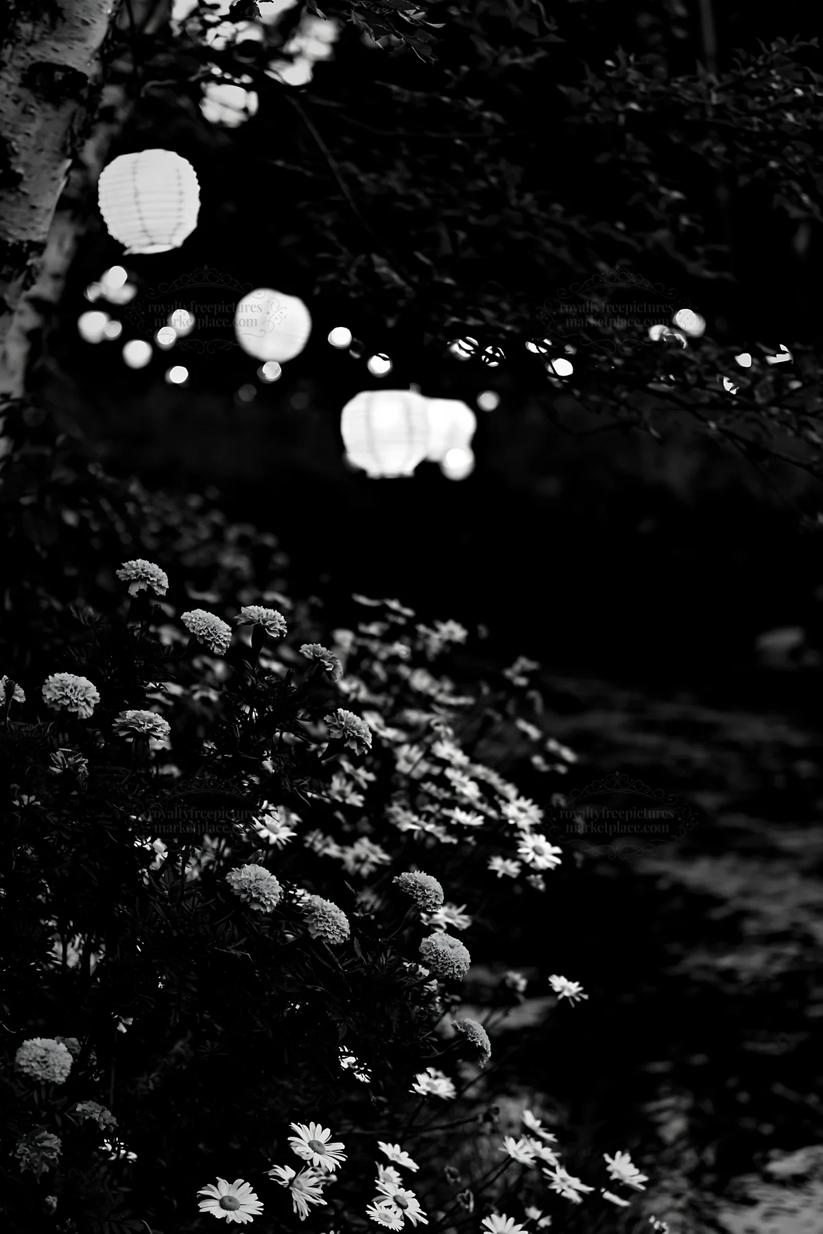 Christmas lights beside stream in meadow at dusk - AI-generated stock image