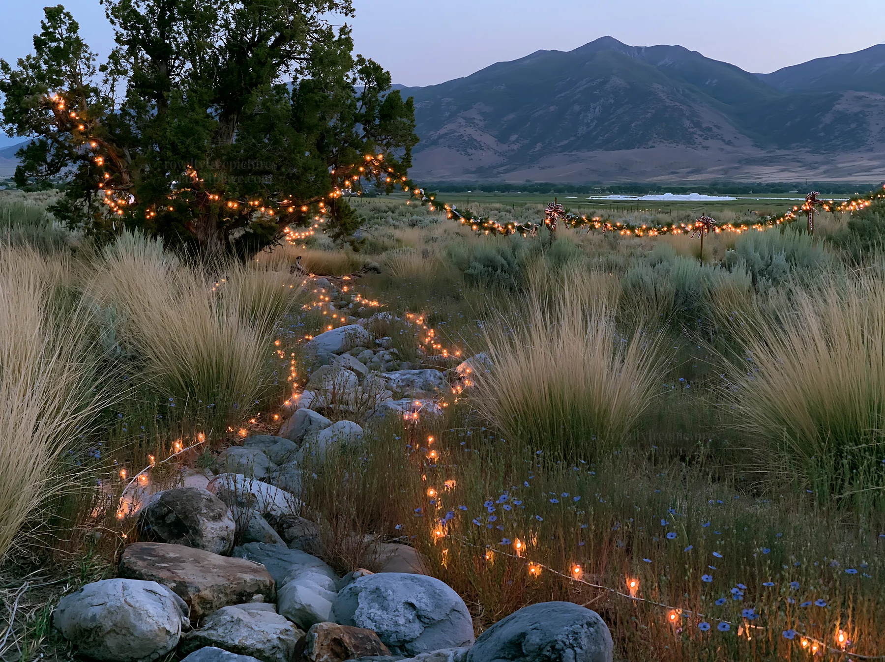 Expansive Christmas meadow with garland and lights - AI-generated stock image