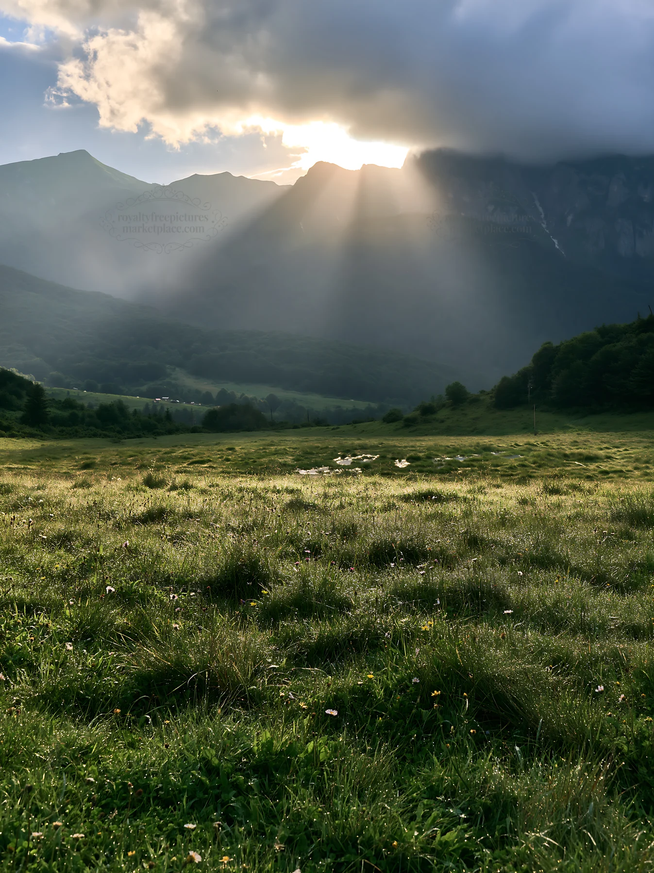 Light rays over meadow in Bucegi Mountains - AI-generated stock image