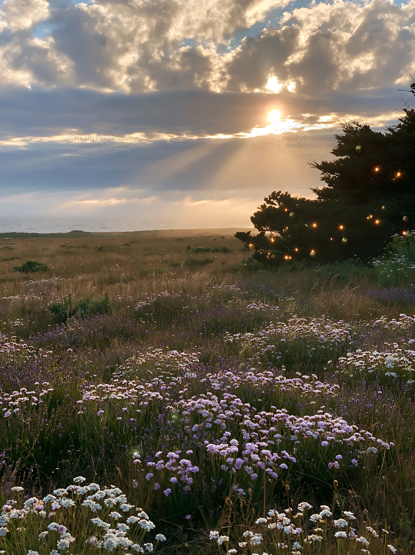 Meadow with Christmas string lights under clouds and sun rays - AI-generated stock image