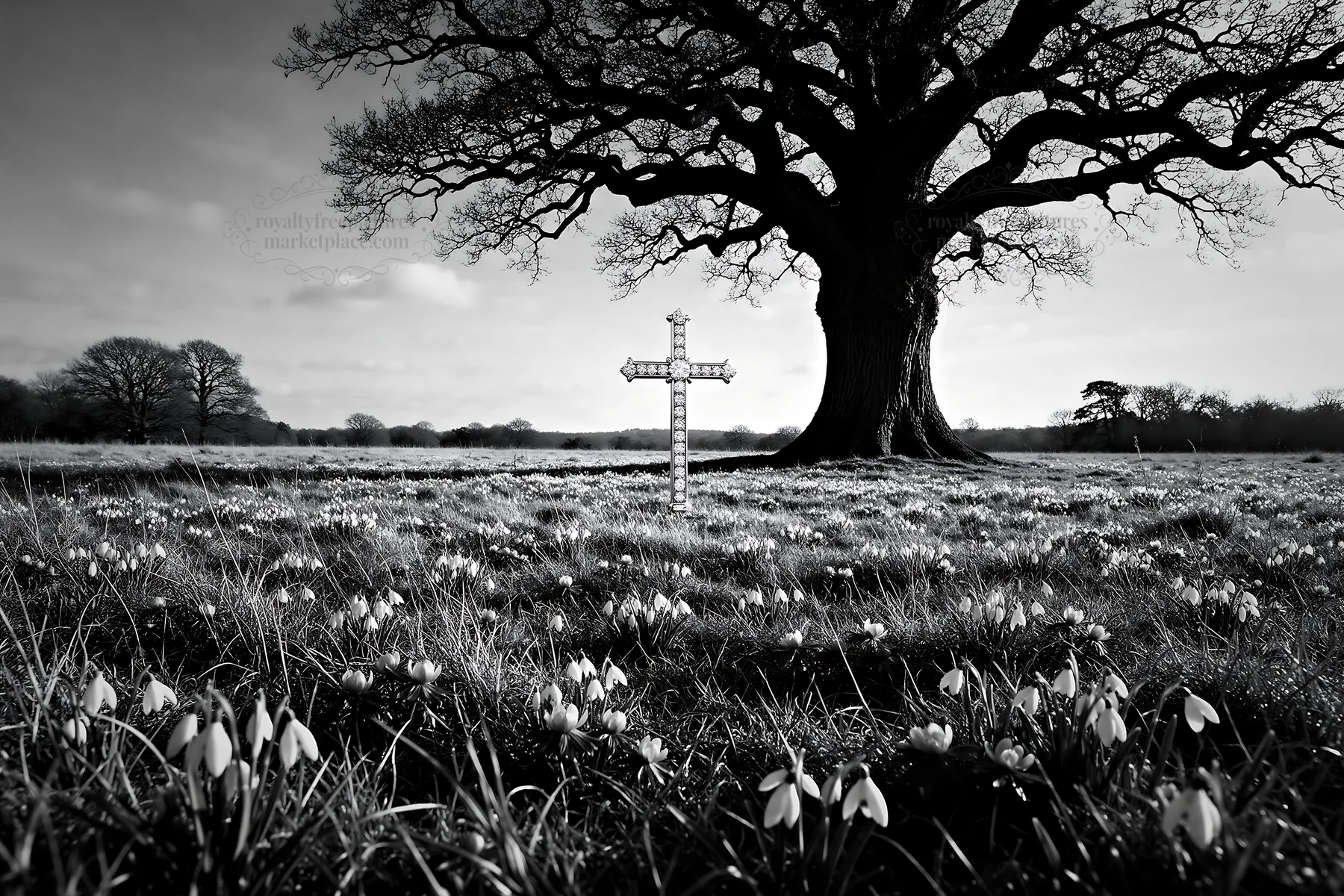 Christian cross in winter meadow with low sunlight - AI-generated stock image