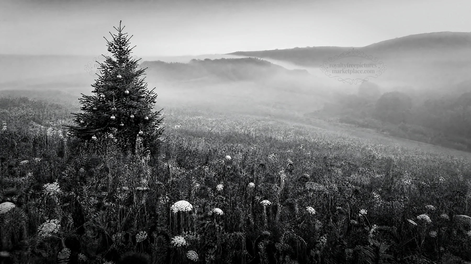Vibrant Christmas tree in a misty meadow landscape - AI-generated stock image