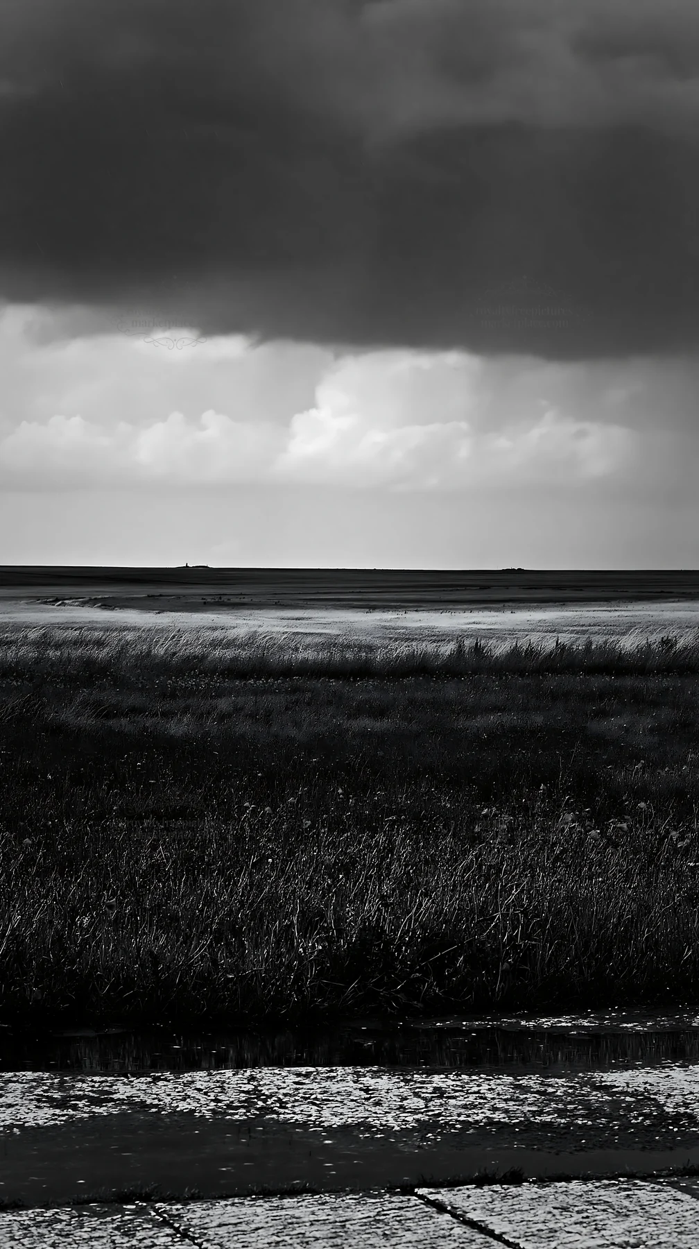 Rainwashed meadow under cloudy sky - AI-generated stock image