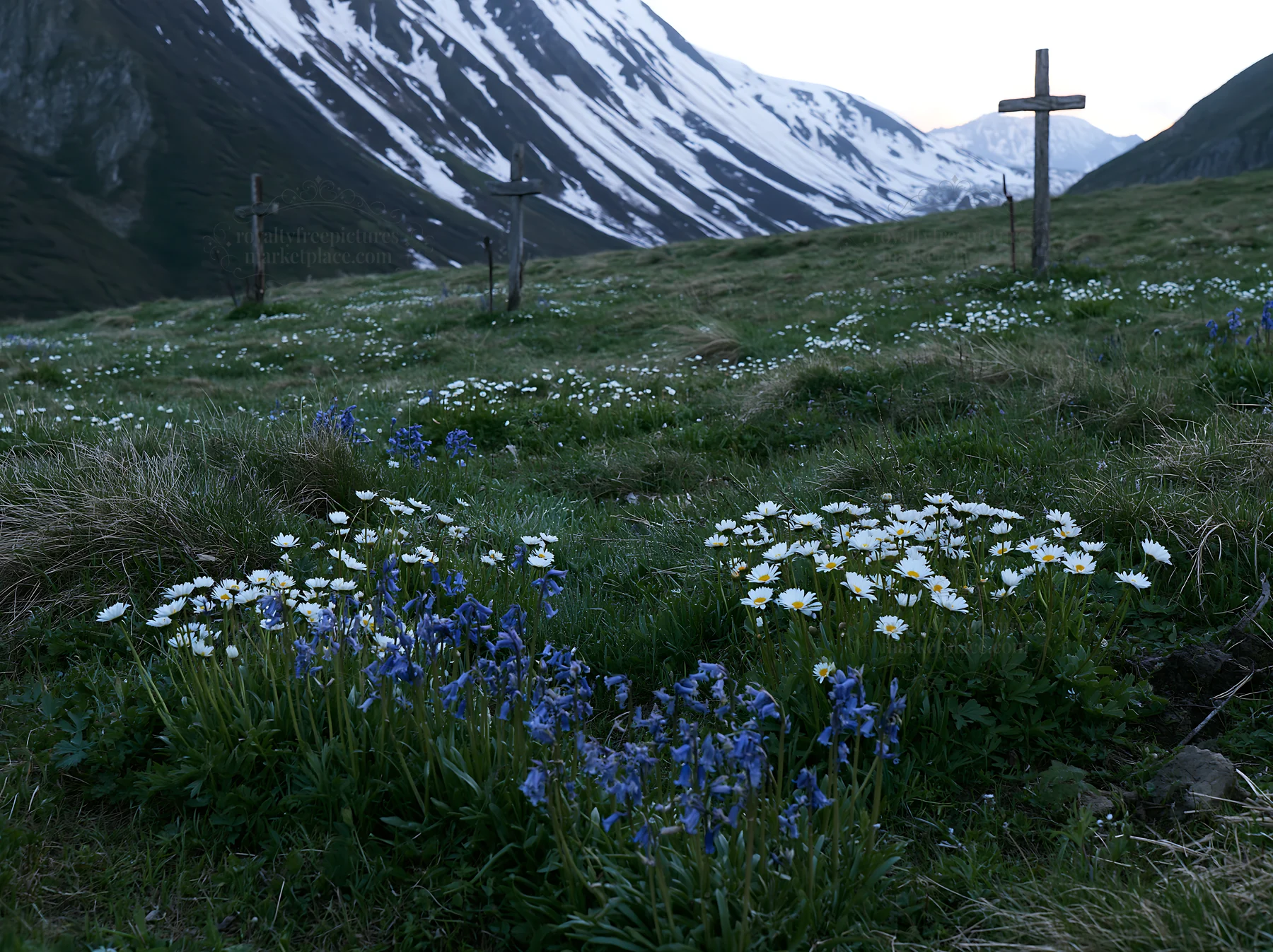 Multiple crosses in snowy meadow with flowers - AI-generated stock image