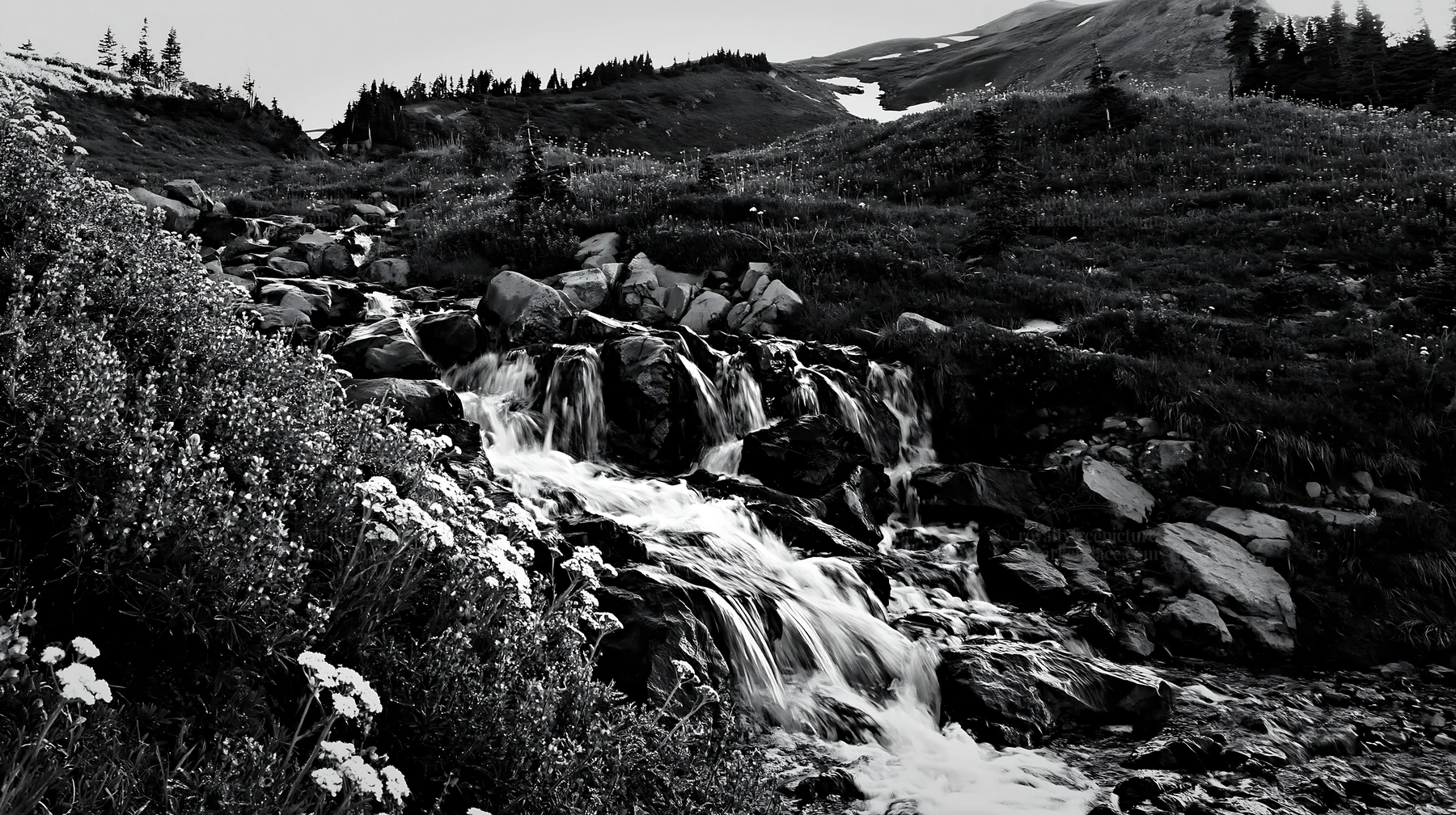 Mountain flower meadow with waterfall in black and white - AI-generated stock image