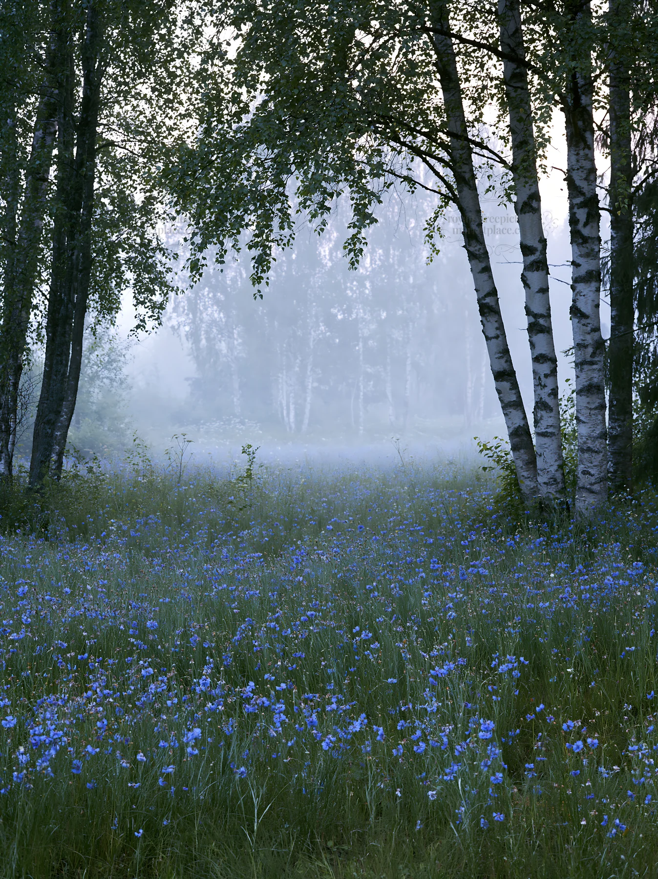 Misty forest meadow with blue flowers among the trees - AI-generated stock image
