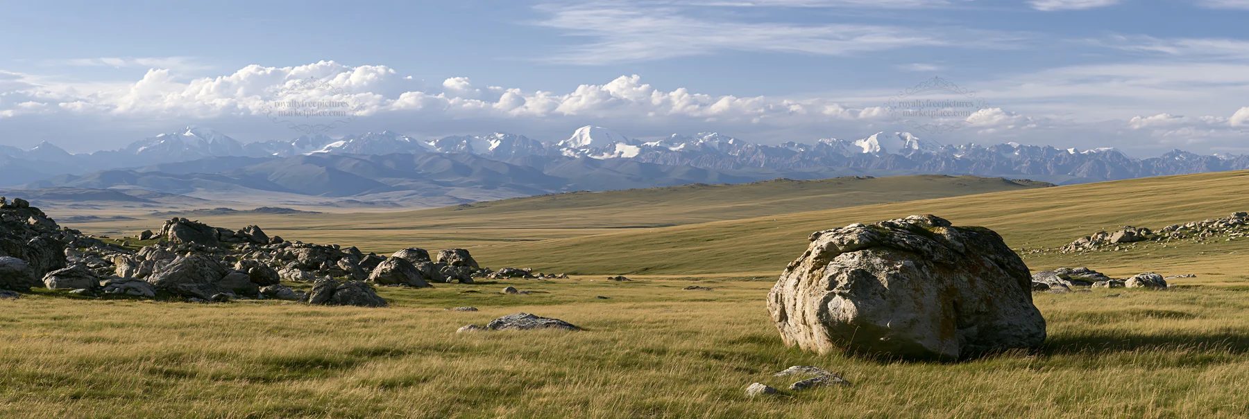 Meadow with boulders and distant mountains - AI-generated stock image