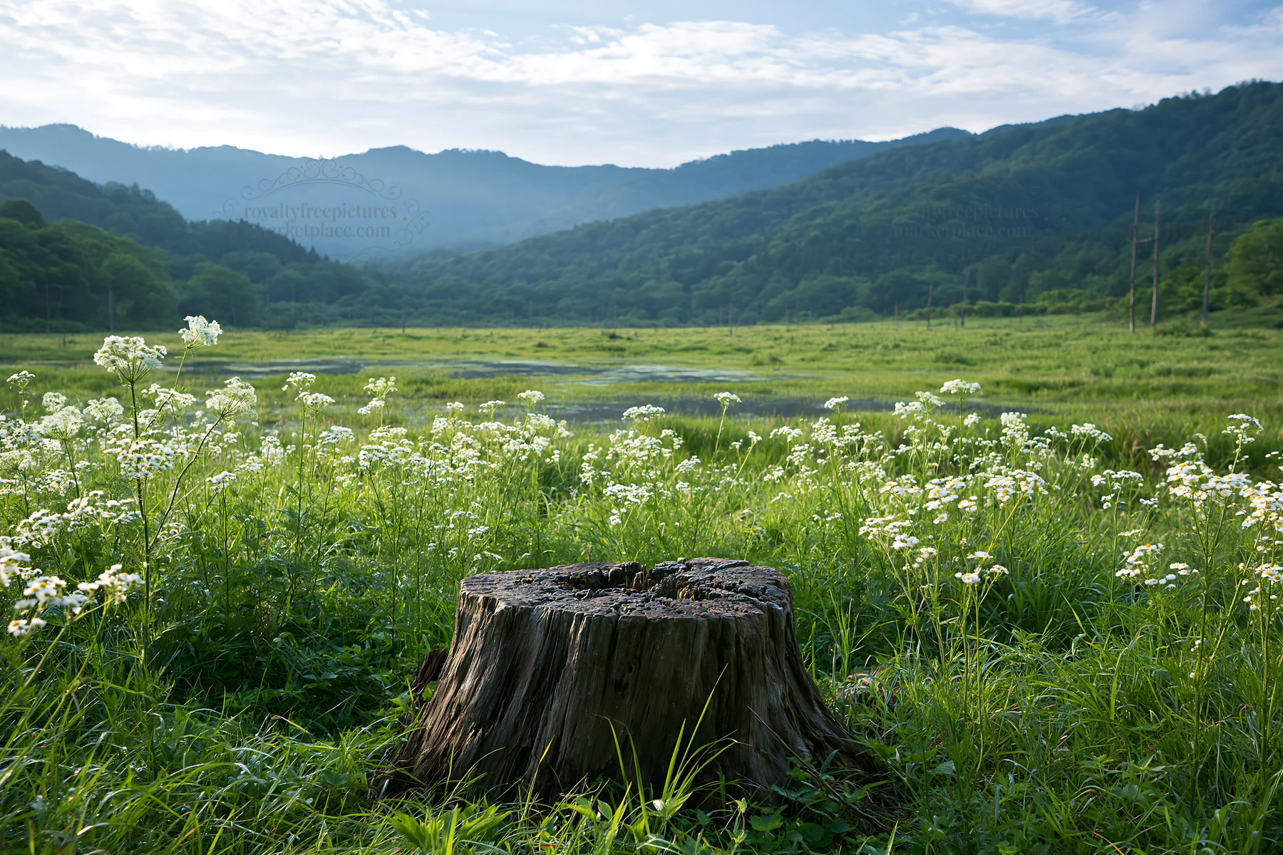 Fukushima meadow with weathered stump and mountain backdrop - AI-generated stock image