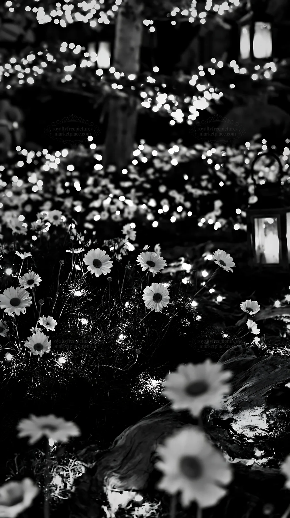 Expansive Christmas meadow with white daisies and lights - AI-generated stock image