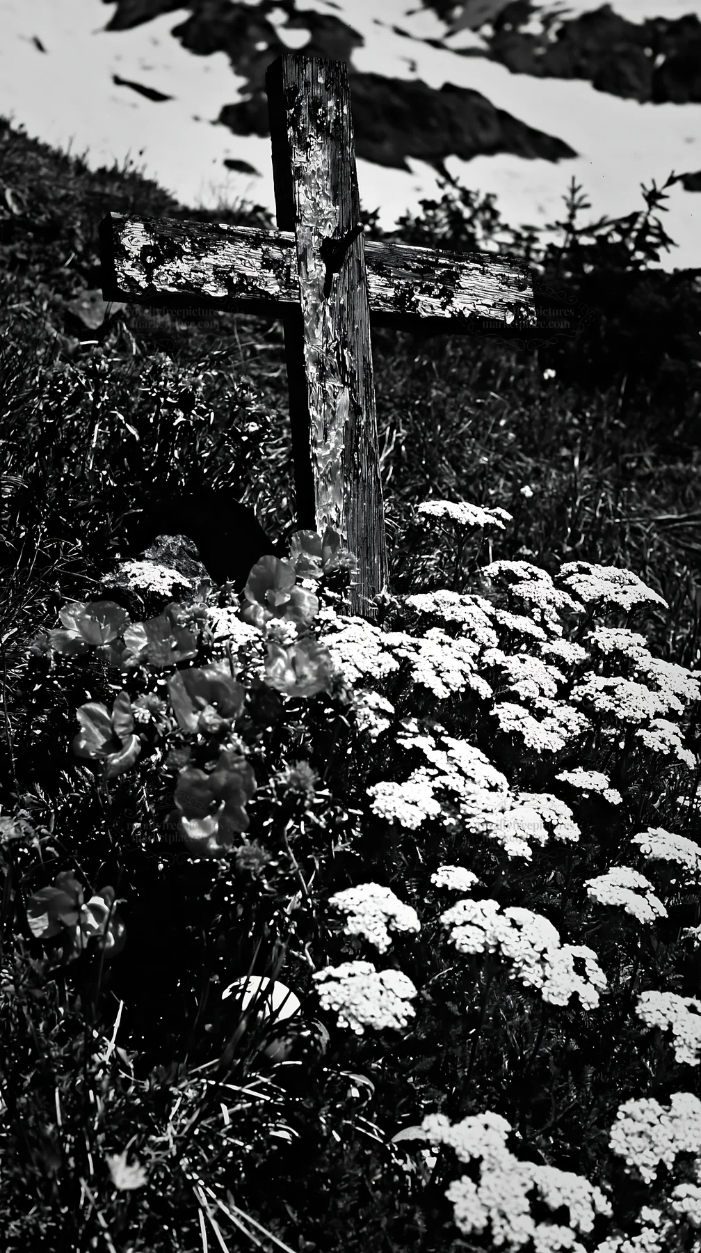 Weathered cross surrounded by flowers in snowy meadow - AI-generated stock image
