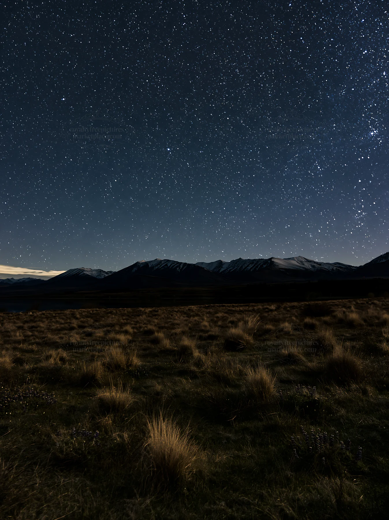 Lake Tekapo meadow under starry sky at night - AI-generated stock image