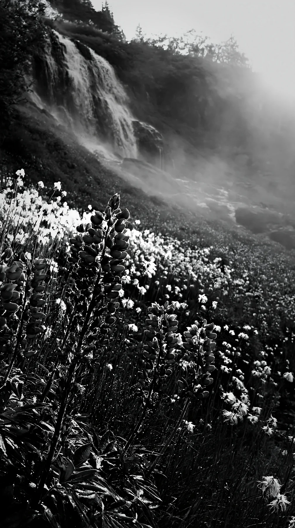 Waterfall at the base of a meadow with flowers - AI-generated stock image