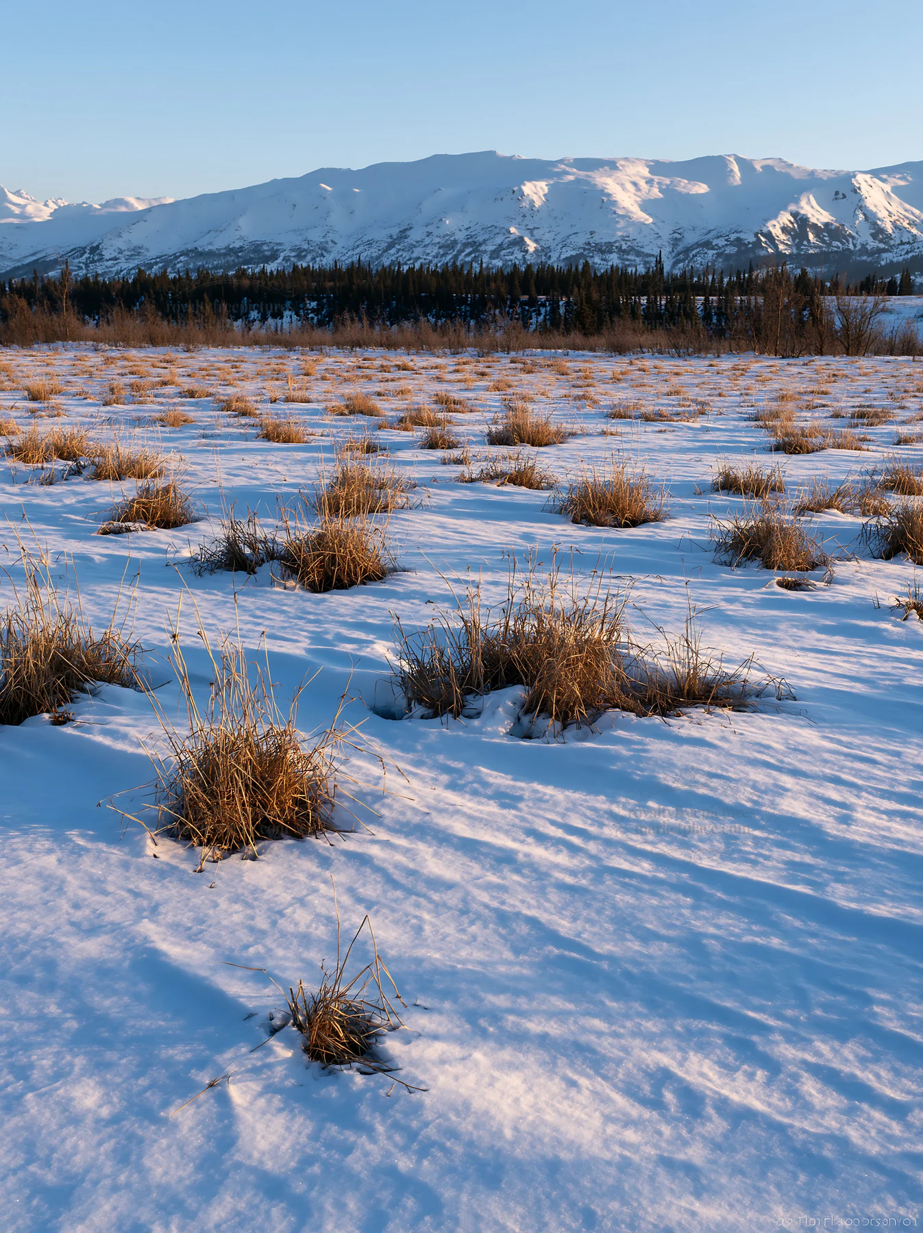 Snowmelt meadow with grass patches under clear skies - AI-generated stock image