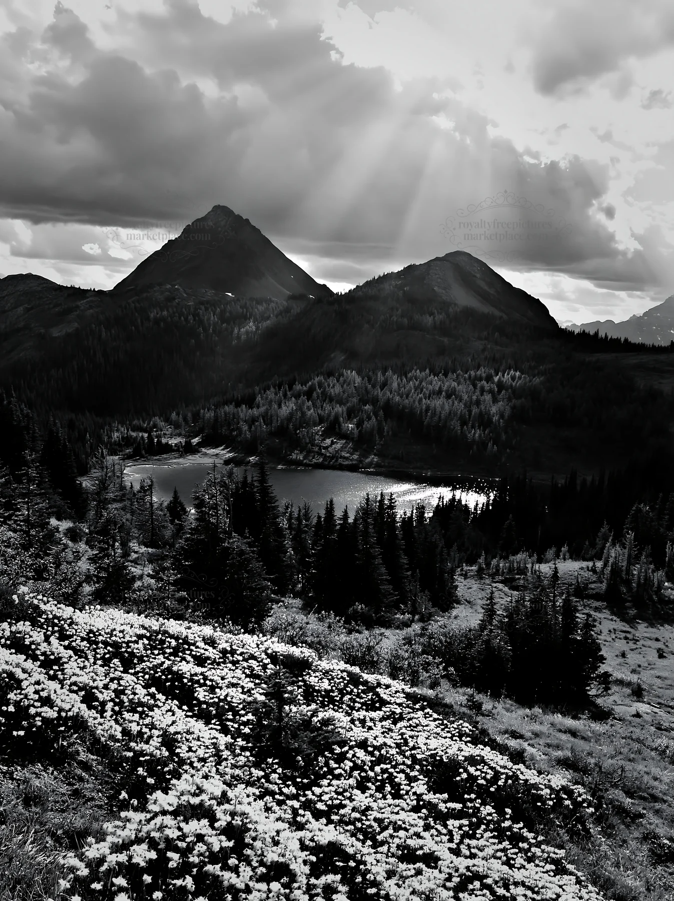 Sunshine Meadows Banff with light rays shining through clouds - AI-generated stock image