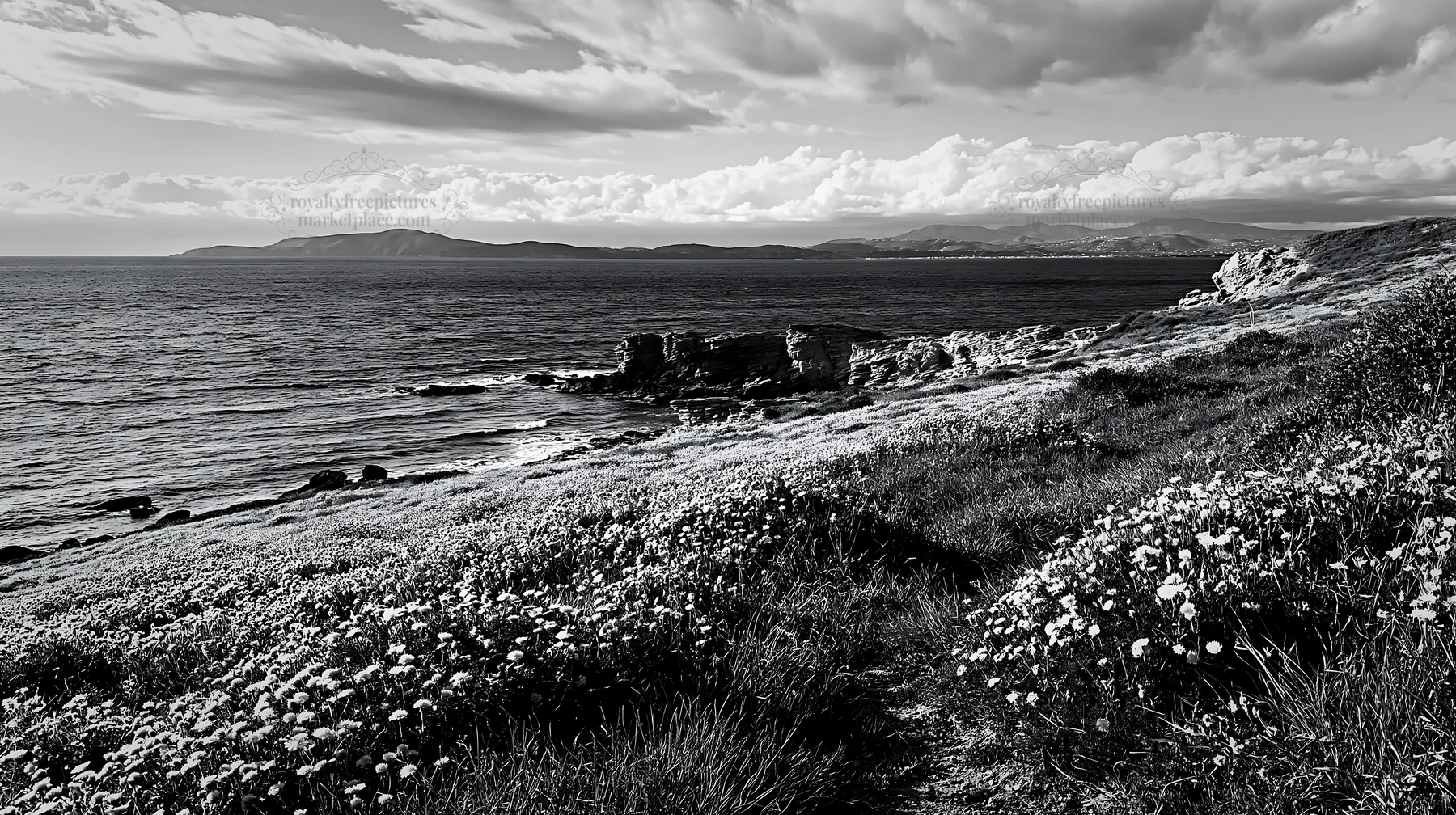 Meadow by rocky coast in Italy with sea view - AI-generated stock image