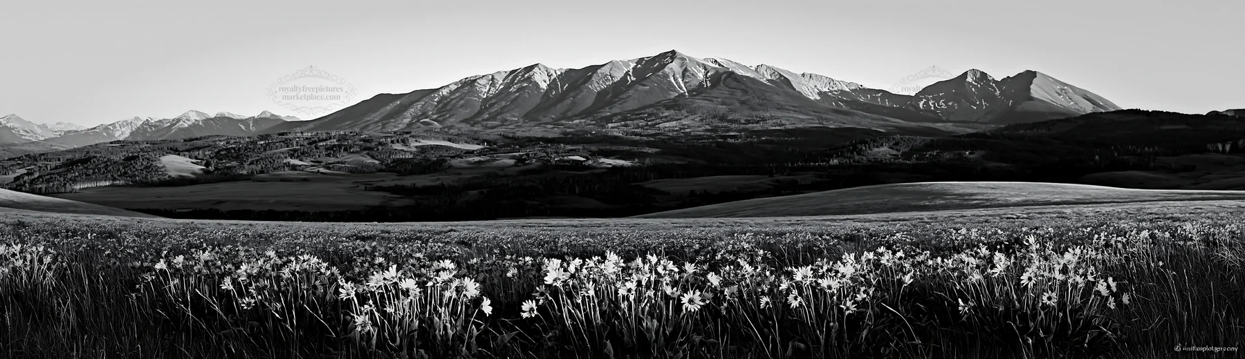 Rolling valley and mountains in black and white - AI-generated stock image