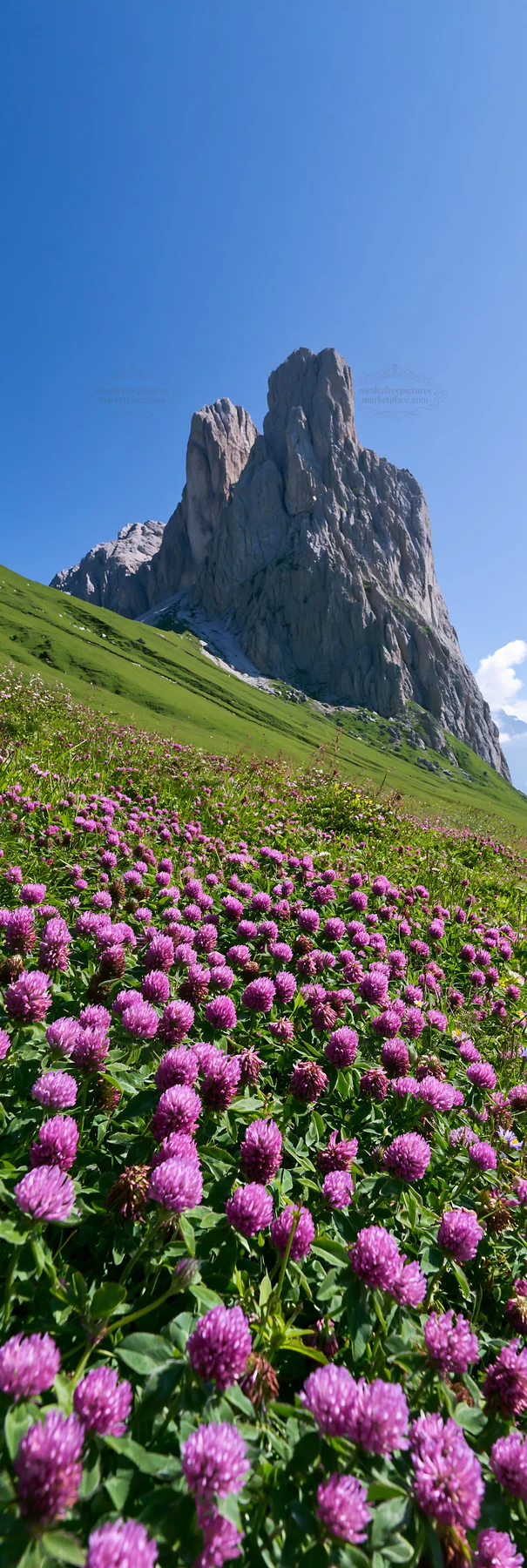 Colorful clover meadow with mountains under blue sky - AI-generated stock image