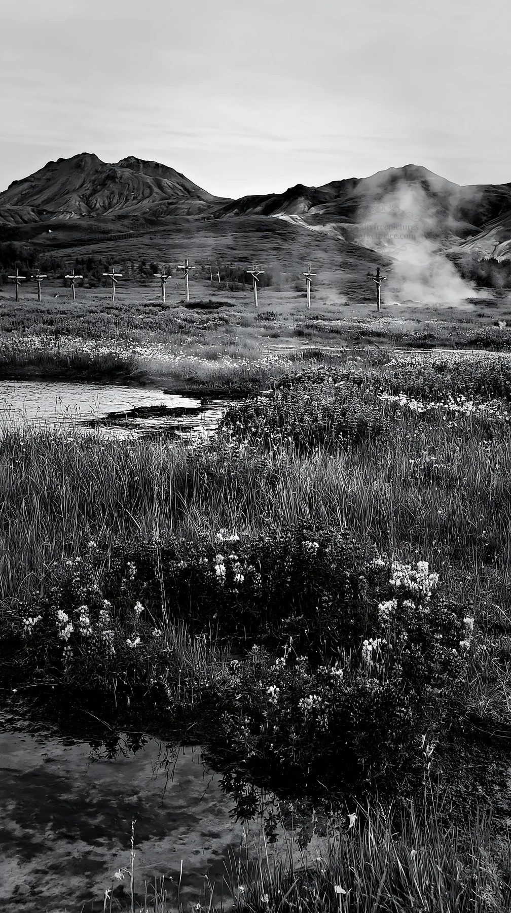 Christian crosses near geothermal springs in a meadow - AI-generated stock image